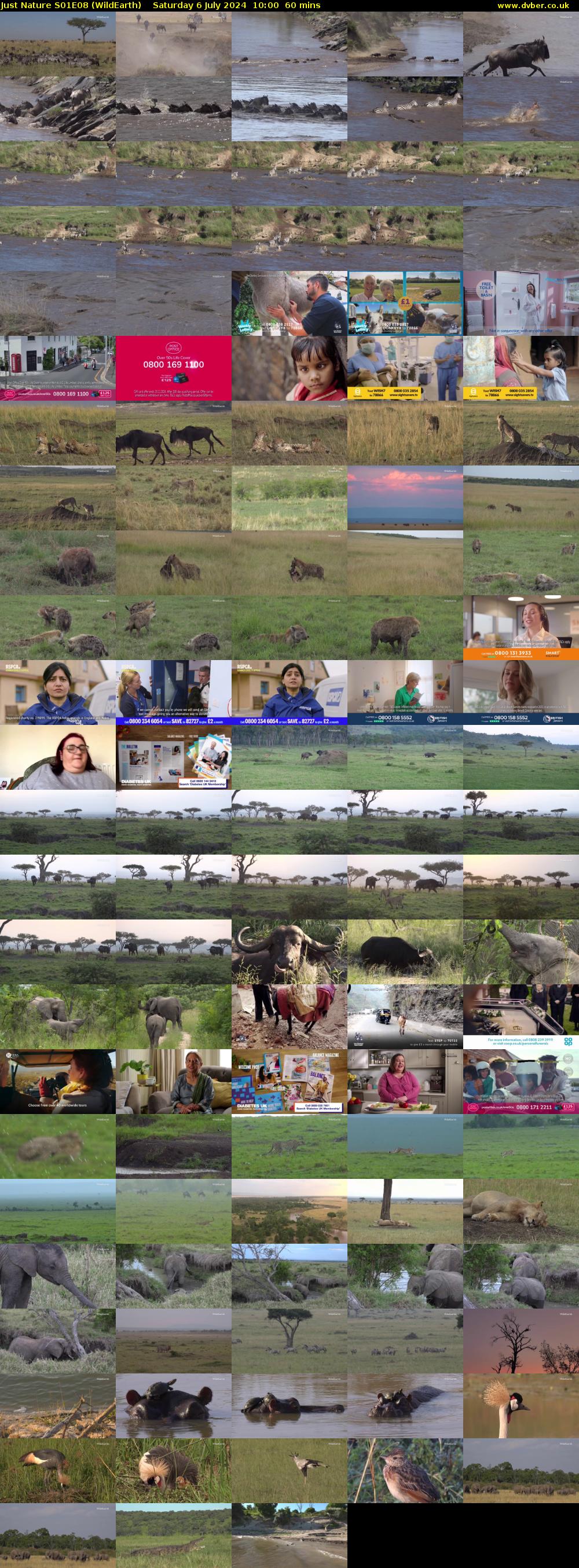 Just Nature S01E08 (WildEarth) Saturday 6 July 2024 10:00 - 11:00