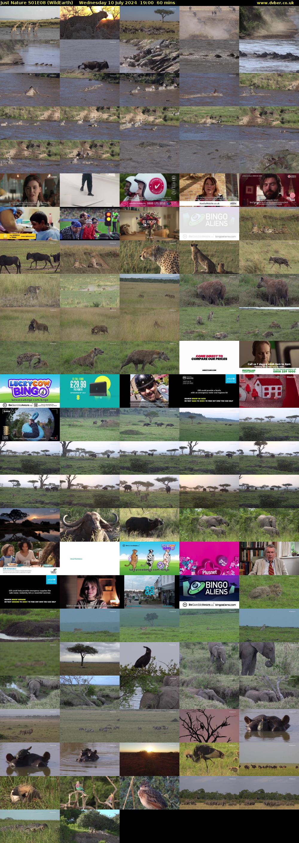 Just Nature S01E08 (WildEarth) Wednesday 10 July 2024 19:00 - 20:00