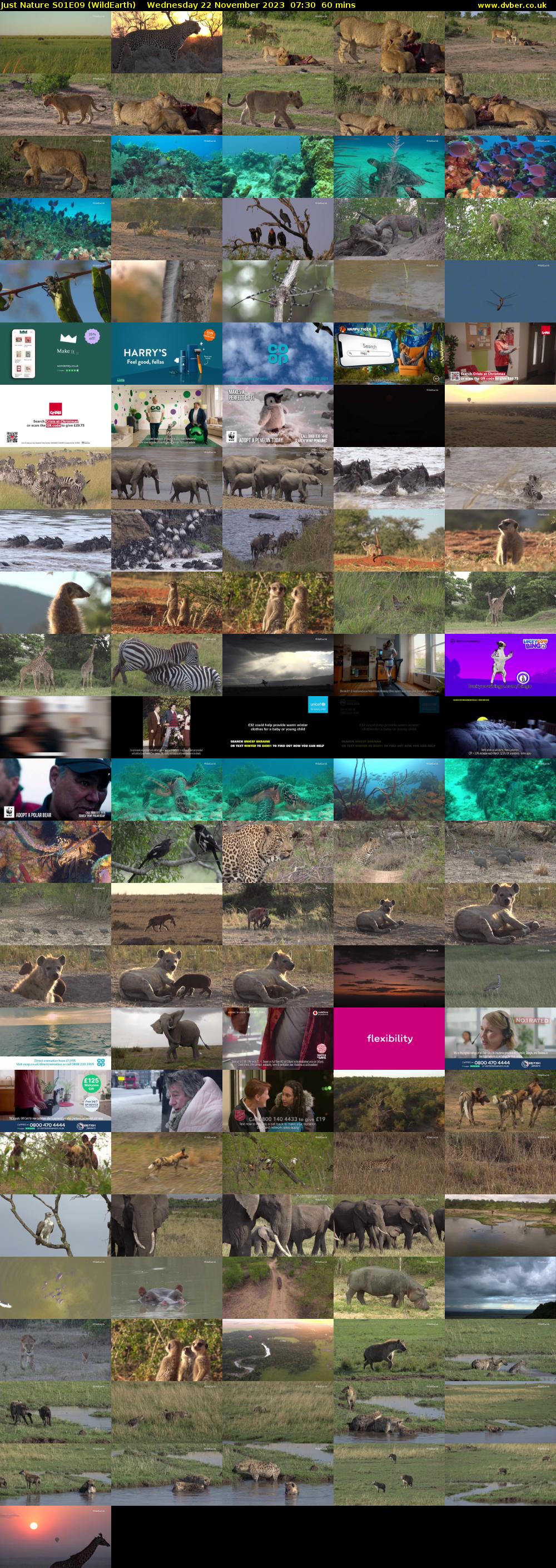 Just Nature S01E09 (WildEarth) Wednesday 22 November 2023 07:30 - 08:30