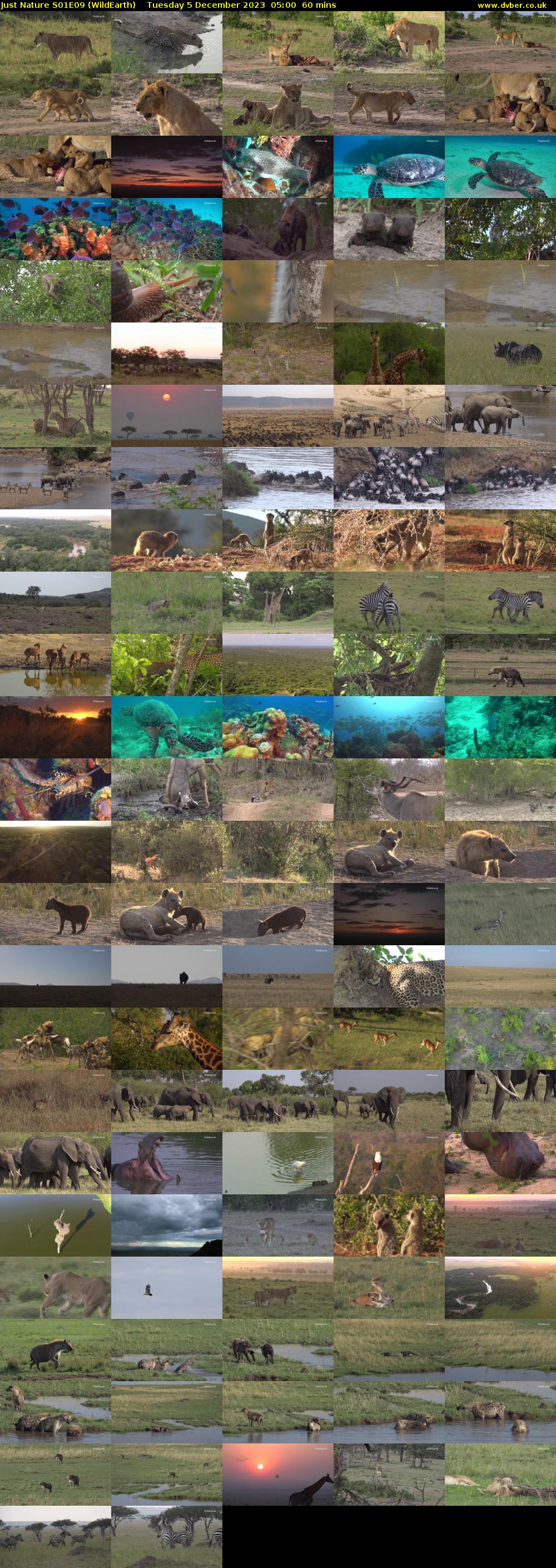 Just Nature S01E09 (WildEarth) Tuesday 5 December 2023 05:00 - 06:00