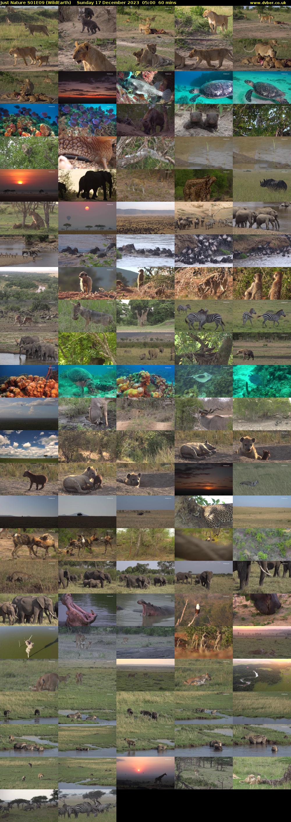 Just Nature S01E09 (WildEarth) Sunday 17 December 2023 05:00 - 06:00