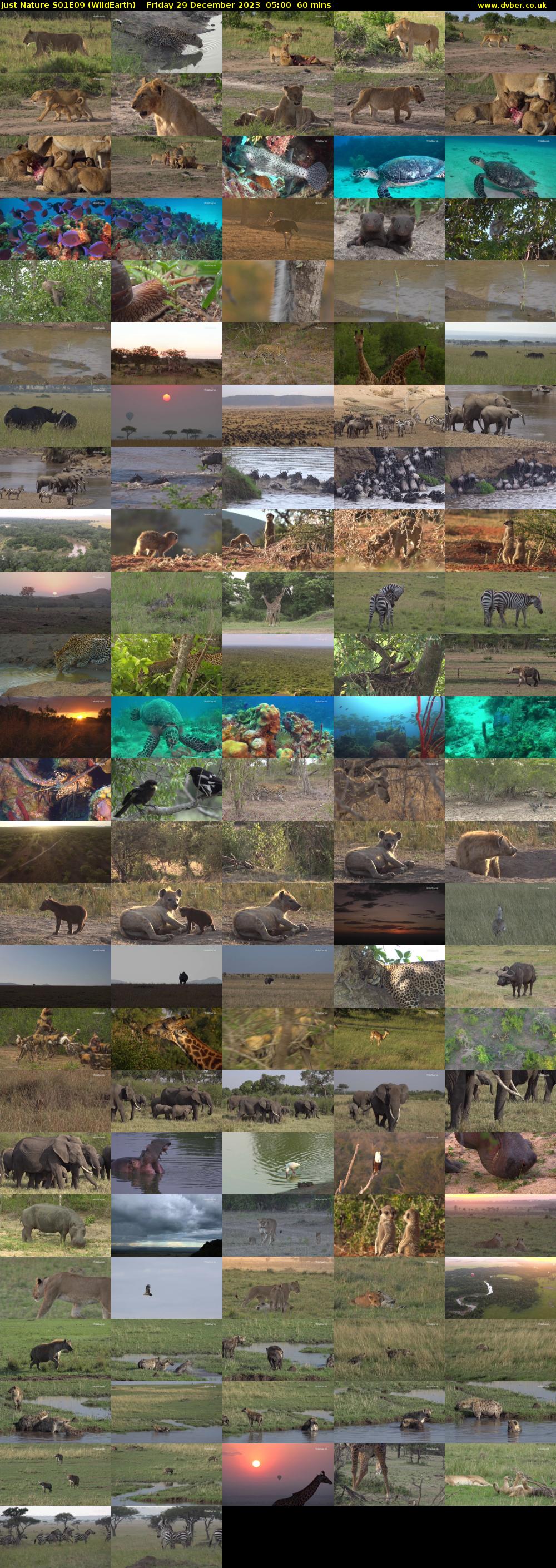 Just Nature S01E09 (WildEarth) Friday 29 December 2023 05:00 - 06:00