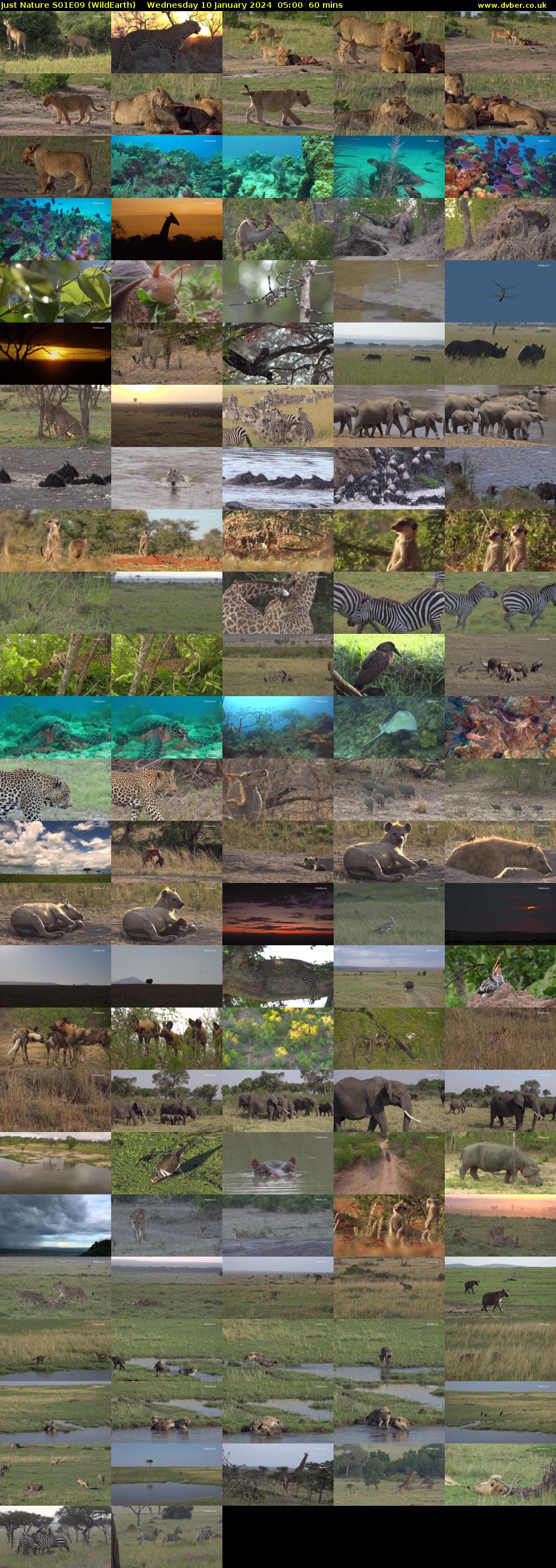 Just Nature S01E09 (WildEarth) Wednesday 10 January 2024 05:00 - 06:00