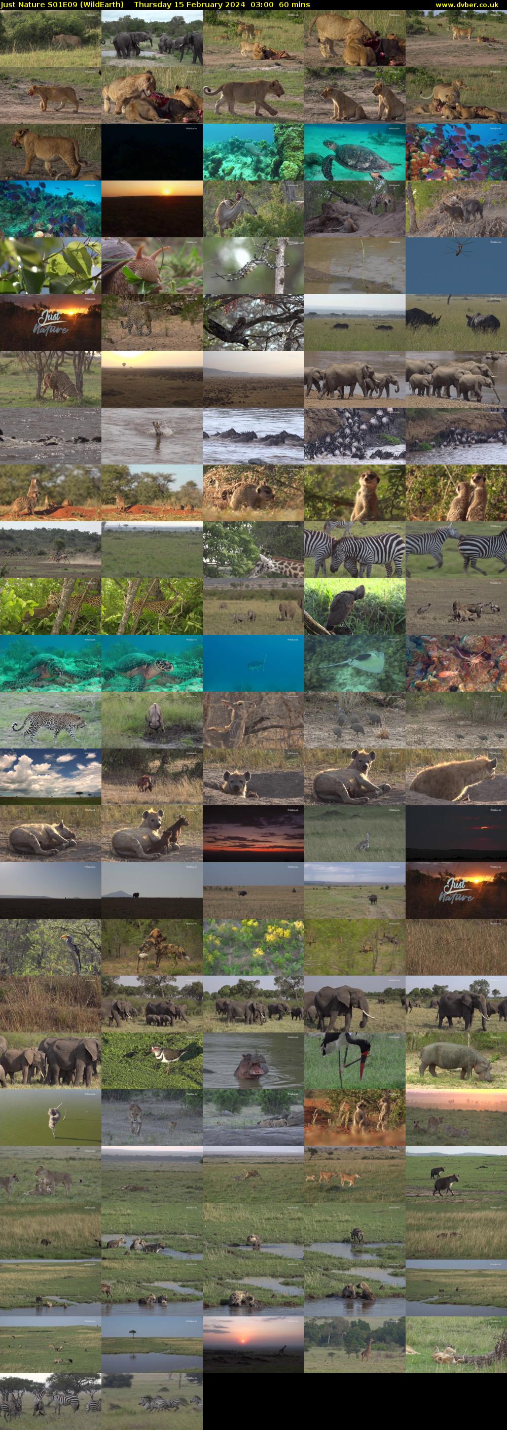 Just Nature S01E09 (WildEarth) Thursday 15 February 2024 03:00 - 04:00