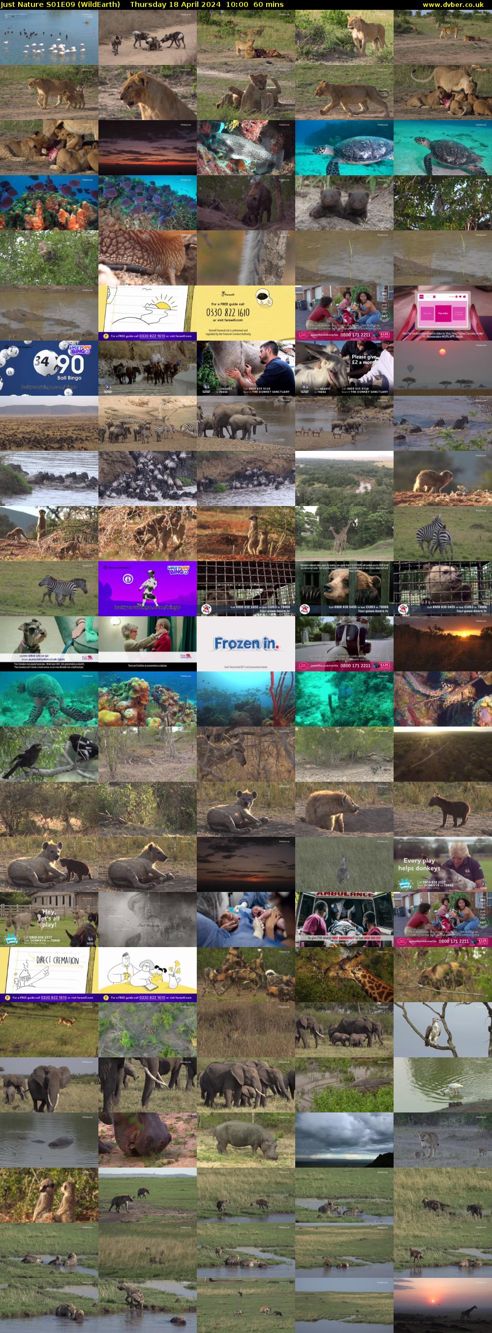 Just Nature S01E09 (WildEarth) Thursday 18 April 2024 10:00 - 11:00