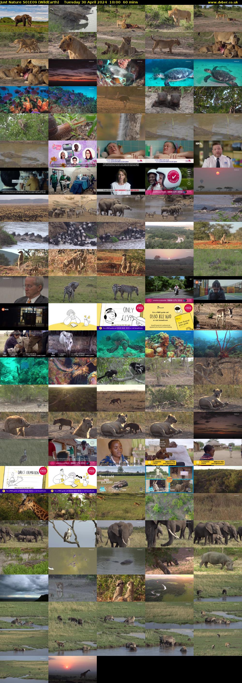 Just Nature S01E09 (WildEarth) Tuesday 30 April 2024 10:00 - 11:00