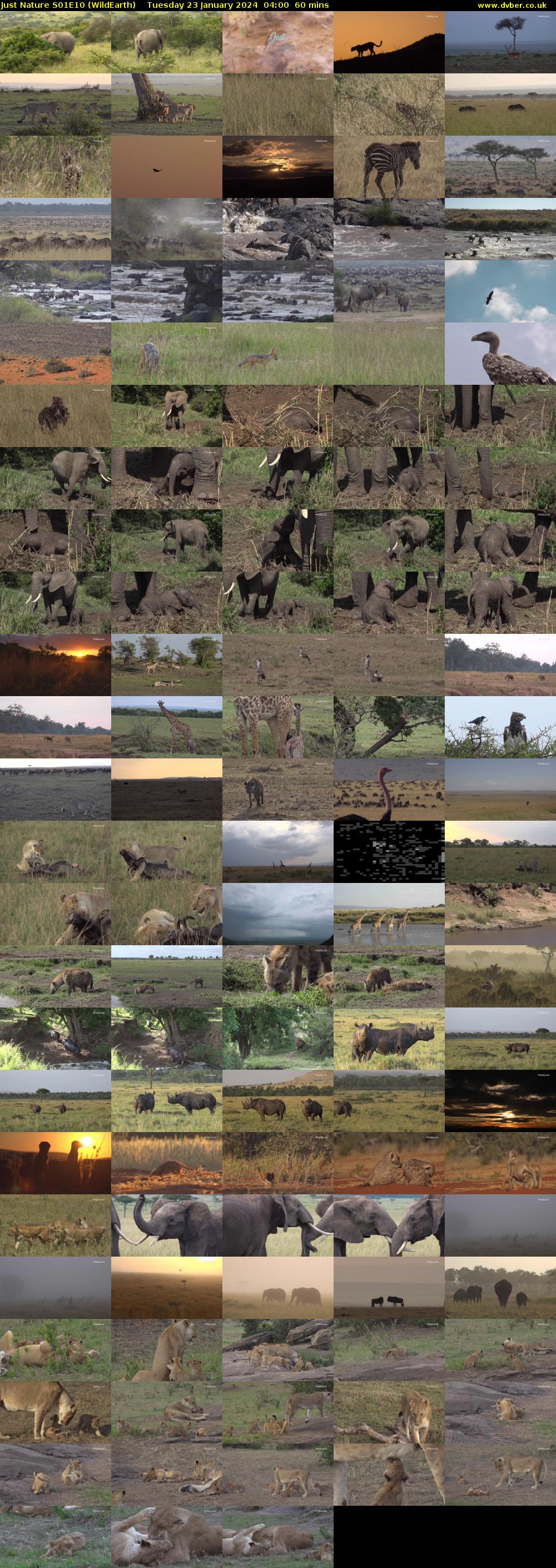 Just Nature S01E10 (WildEarth) Tuesday 23 January 2024 04:00 - 05:00