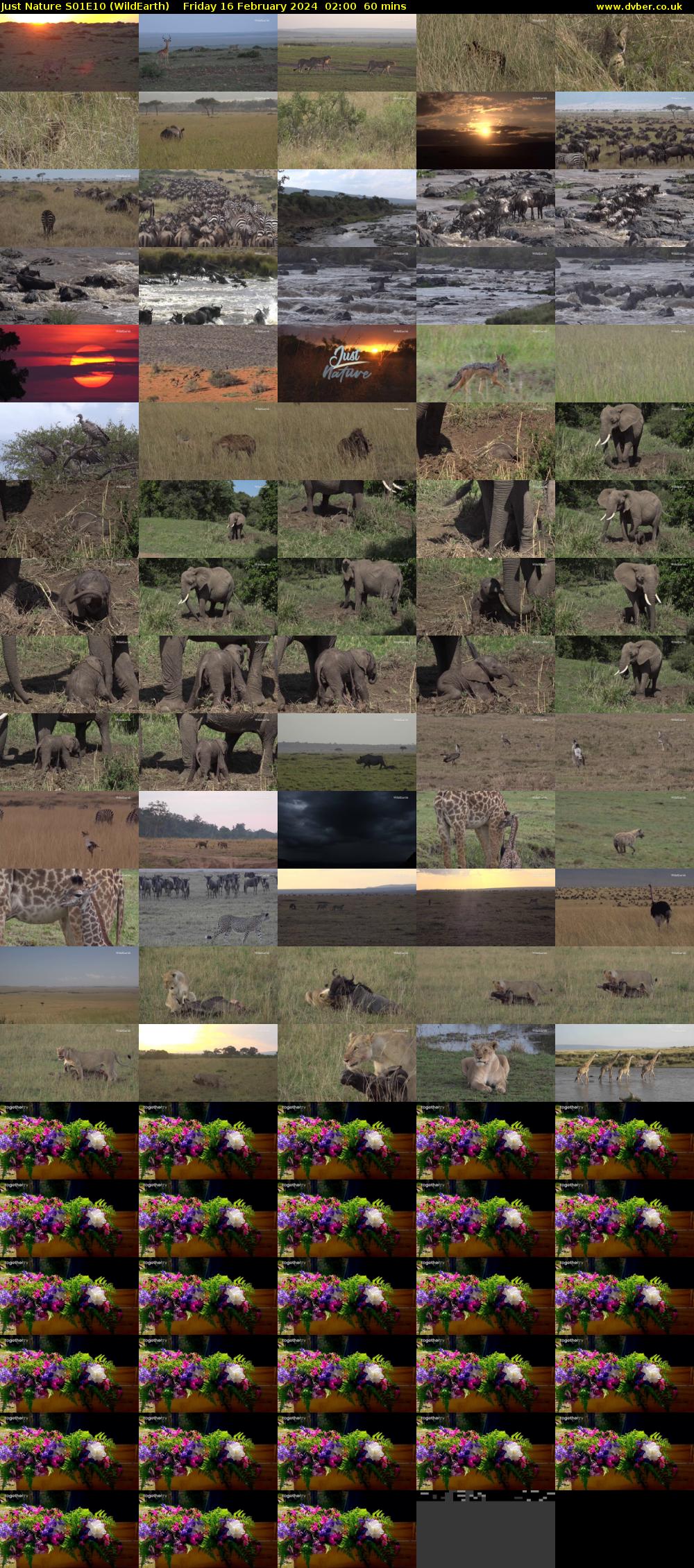 Just Nature S01E10 (WildEarth) Friday 16 February 2024 02:00 - 03:00