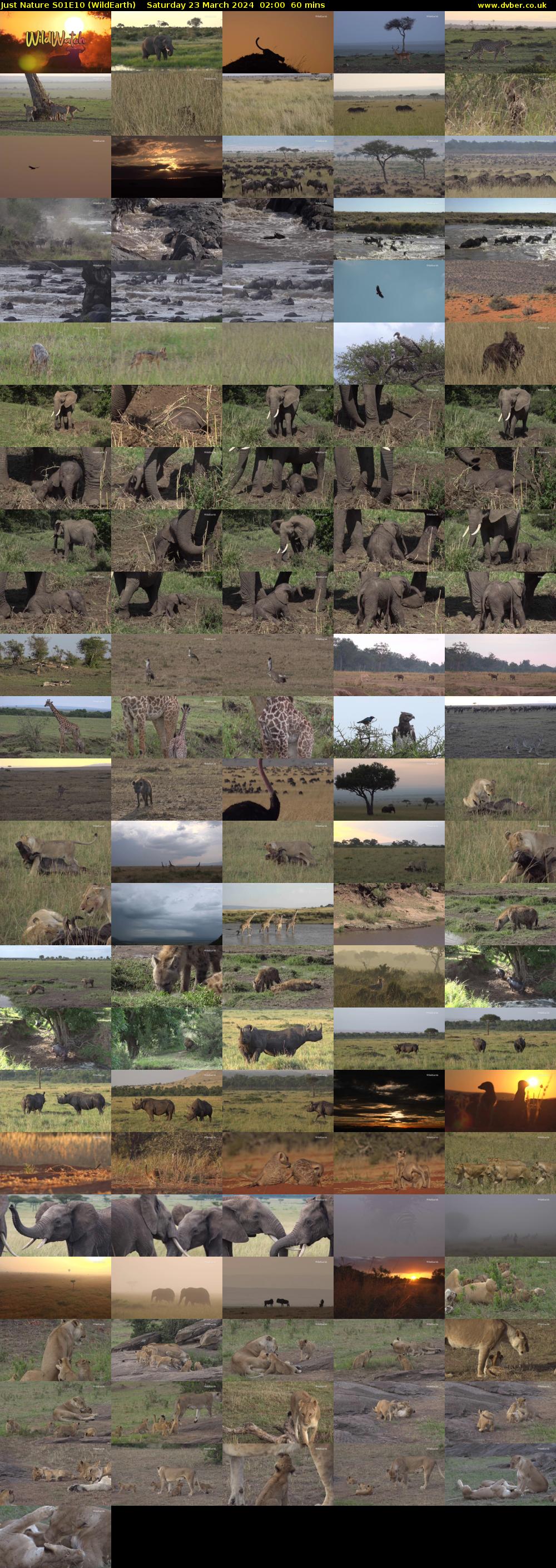 Just Nature S01E10 (WildEarth) Saturday 23 March 2024 02:00 - 03:00