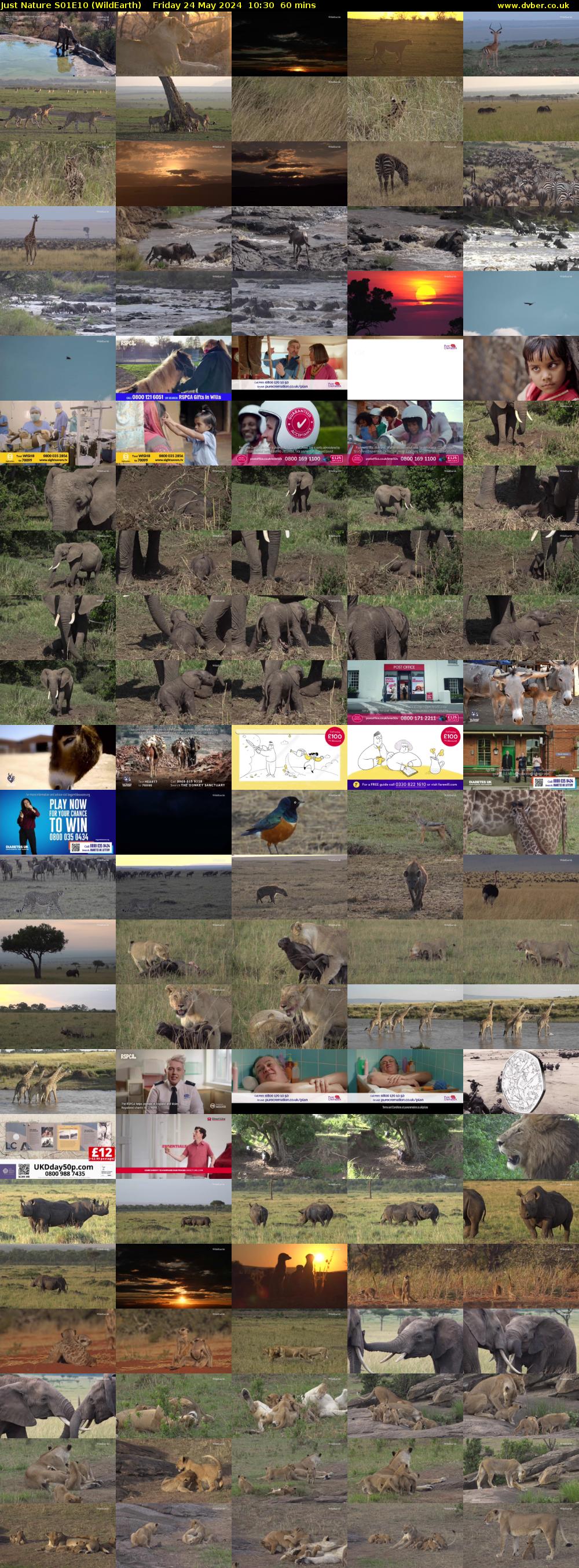 Just Nature S01E10 (WildEarth) Friday 24 May 2024 10:30 - 11:30