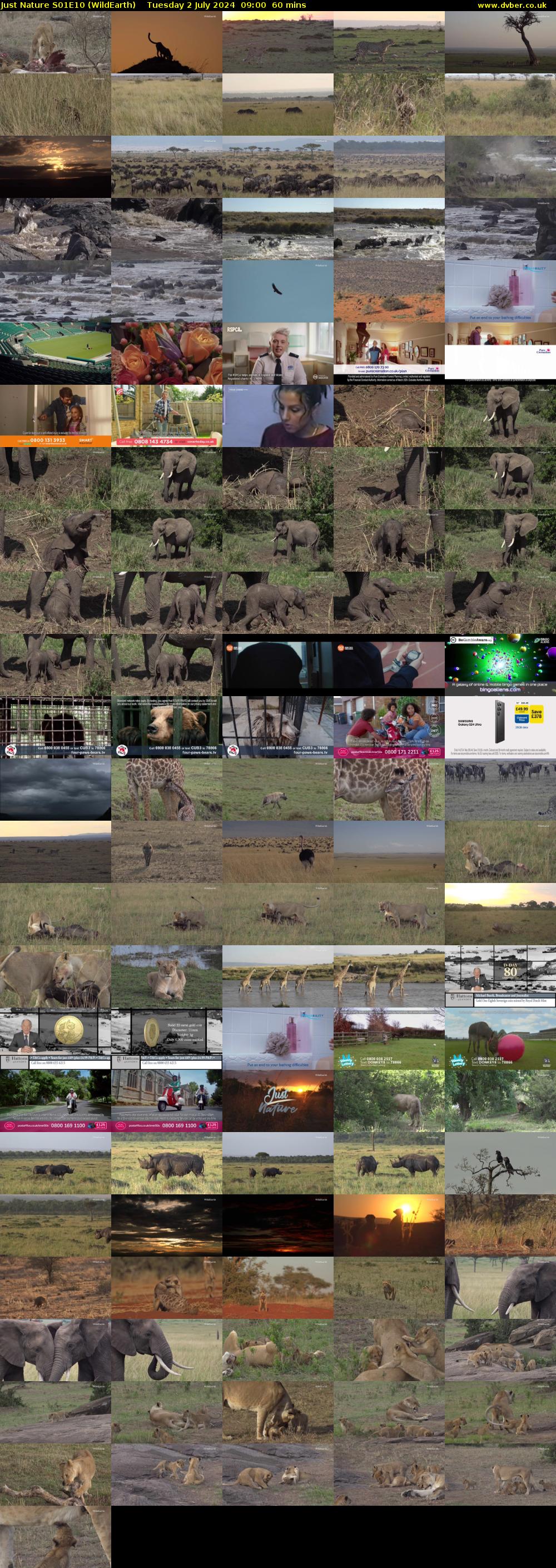 Just Nature S01E10 (WildEarth) Tuesday 2 July 2024 09:00 - 10:00
