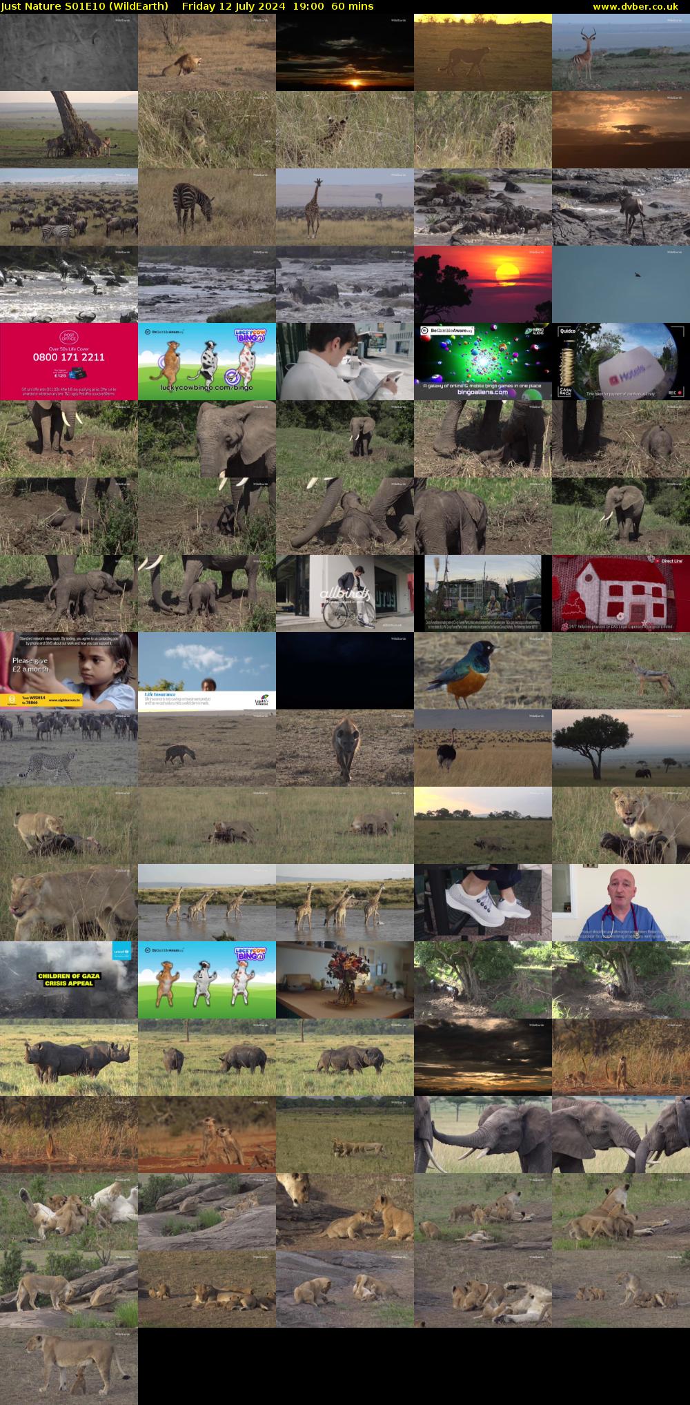 Just Nature S01E10 (WildEarth) Friday 12 July 2024 19:00 - 20:00