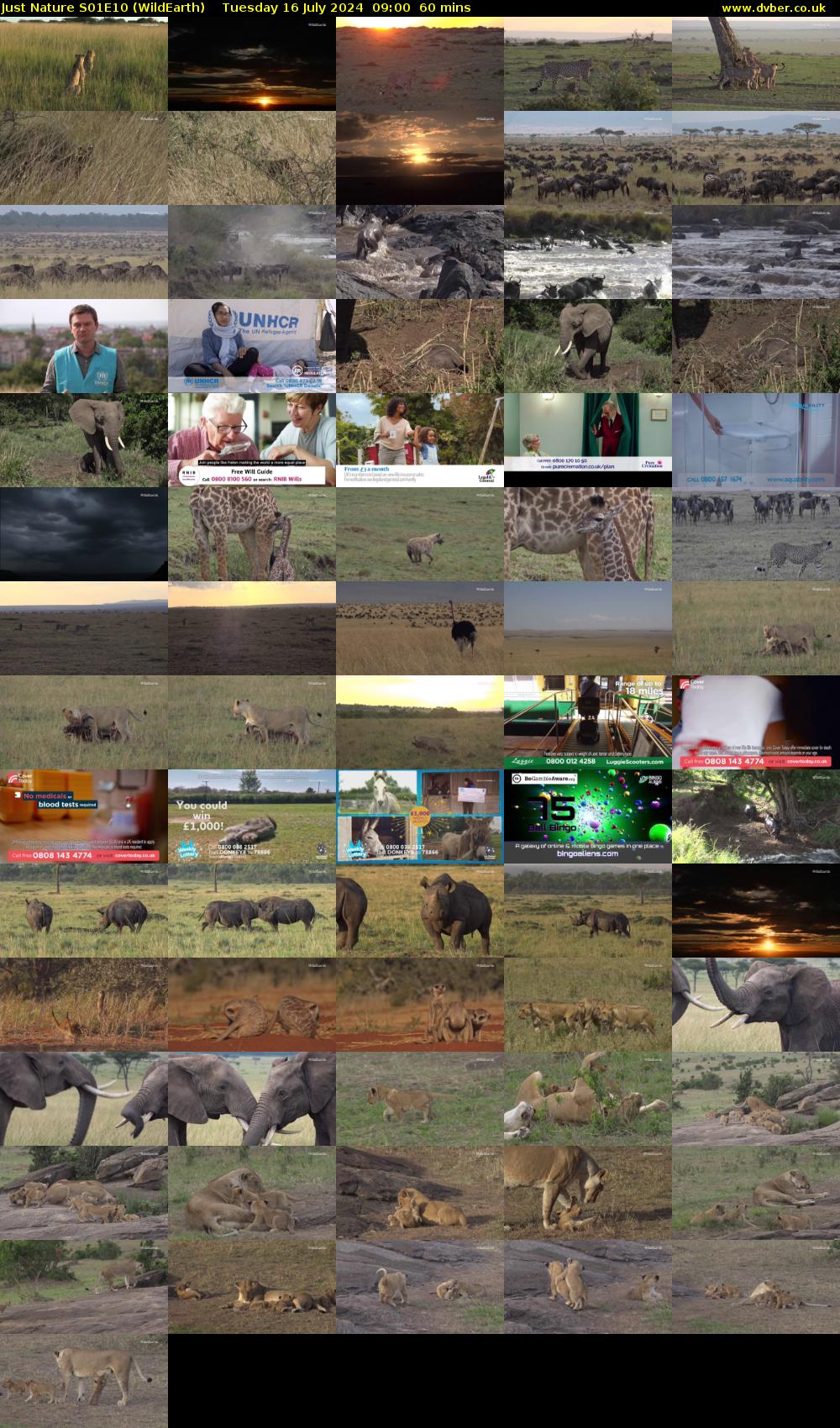 Just Nature S01E10 (WildEarth) Tuesday 16 July 2024 09:00 - 10:00
