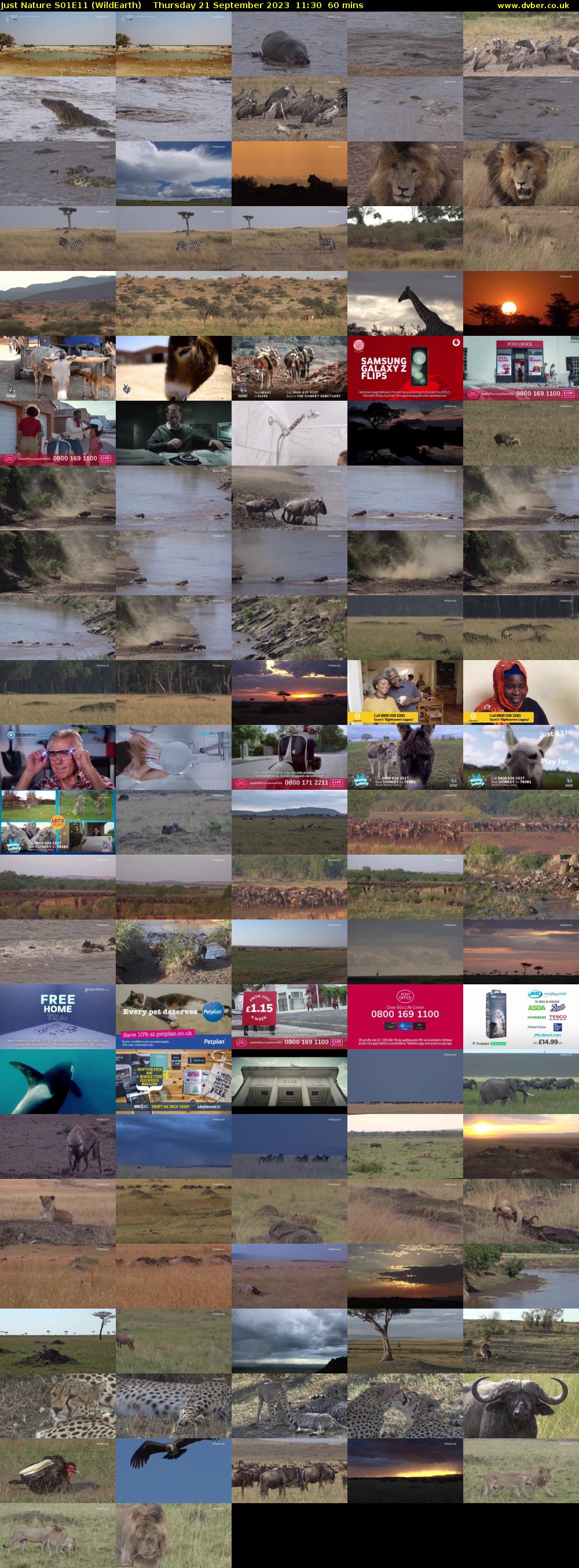 Just Nature S01E11 (WildEarth) Thursday 21 September 2023 11:30 - 12:30