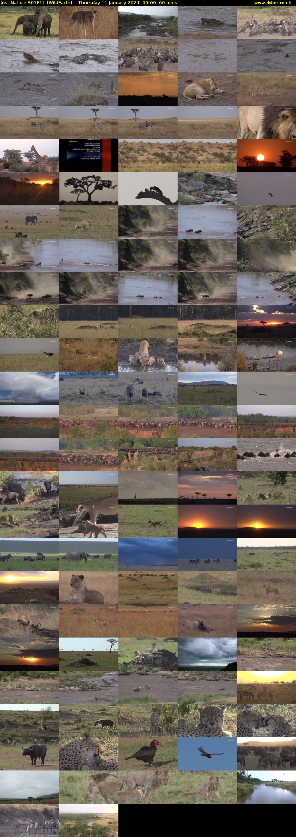 Just Nature S01E11 (WildEarth) Thursday 11 January 2024 05:00 - 06:00