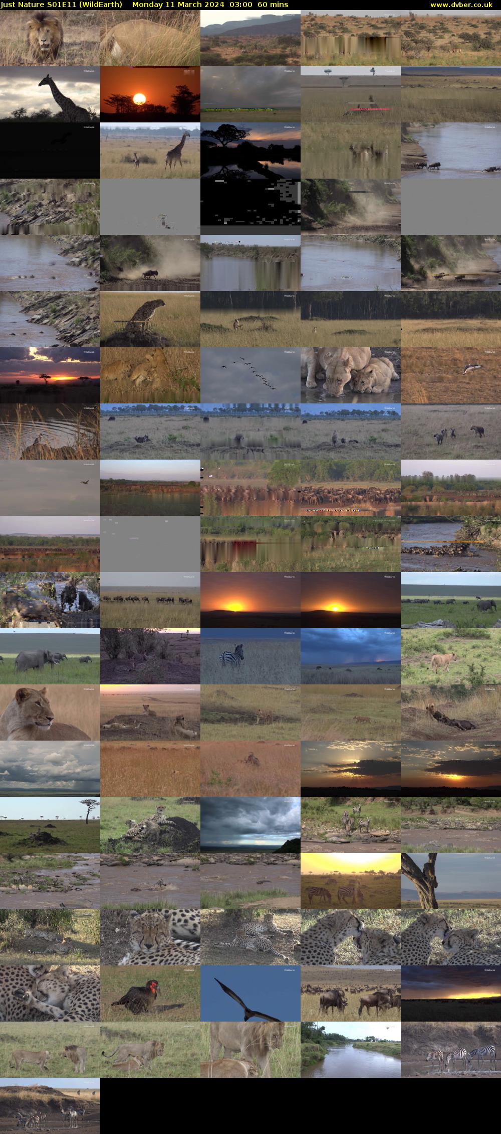 Just Nature S01E11 (WildEarth) Monday 11 March 2024 03:00 - 04:00