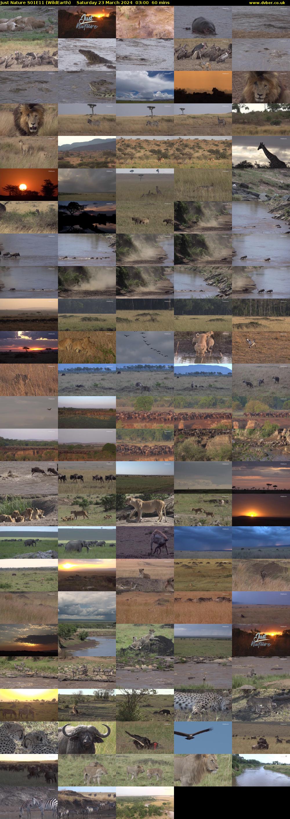 Just Nature S01E11 (WildEarth) Saturday 23 March 2024 03:00 - 04:00