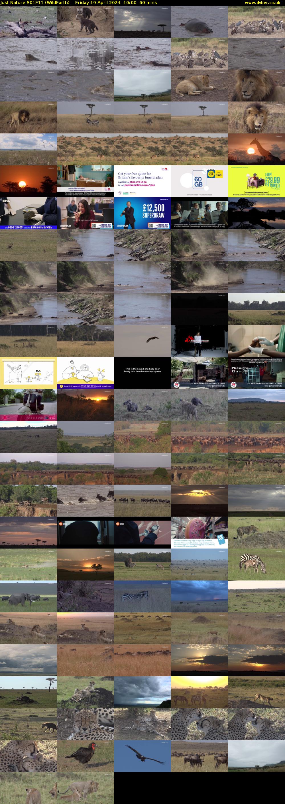 Just Nature S01E11 (WildEarth) Friday 19 April 2024 10:00 - 11:00