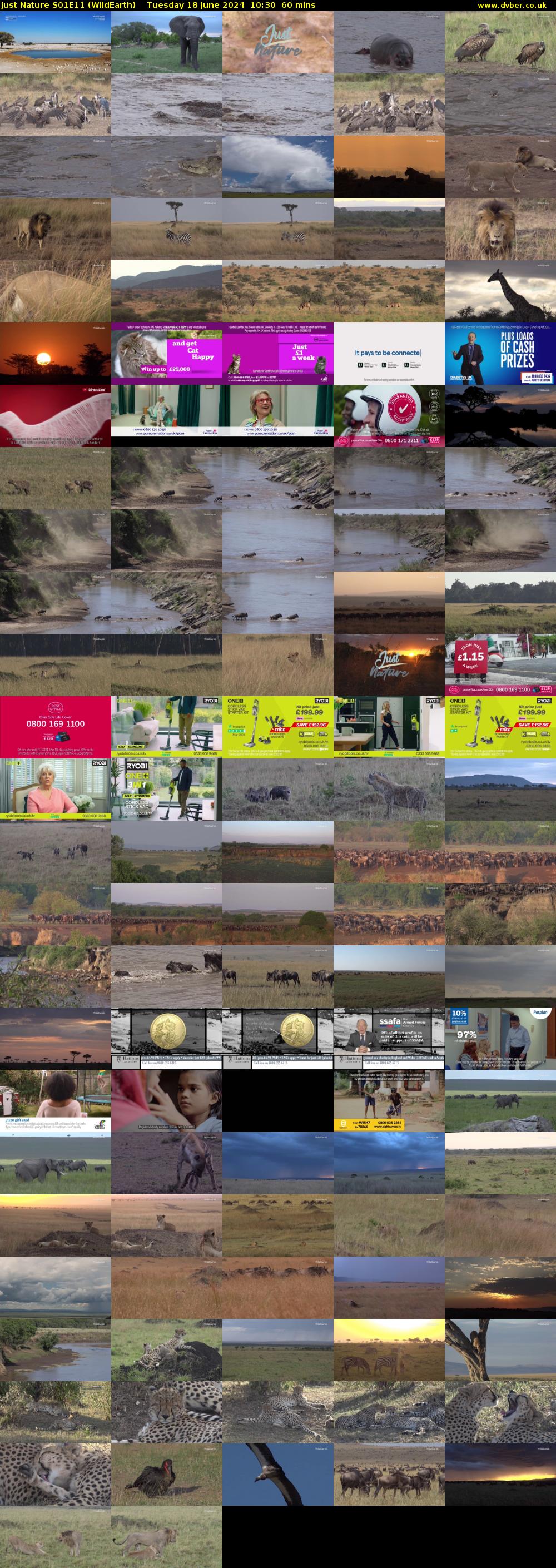 Just Nature S01E11 (WildEarth) Tuesday 18 June 2024 10:30 - 11:30