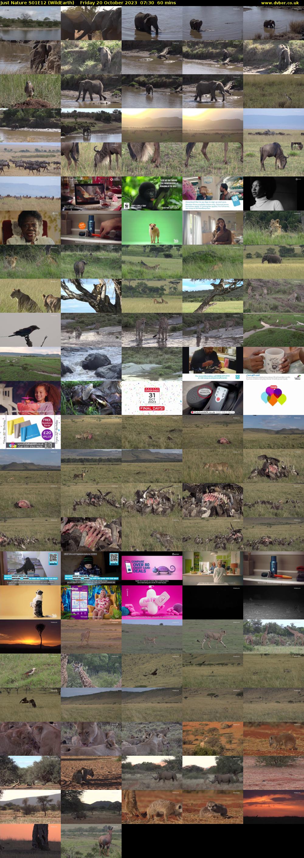 Just Nature S01E12 (WildEarth) Friday 20 October 2023 07:30 - 08:30