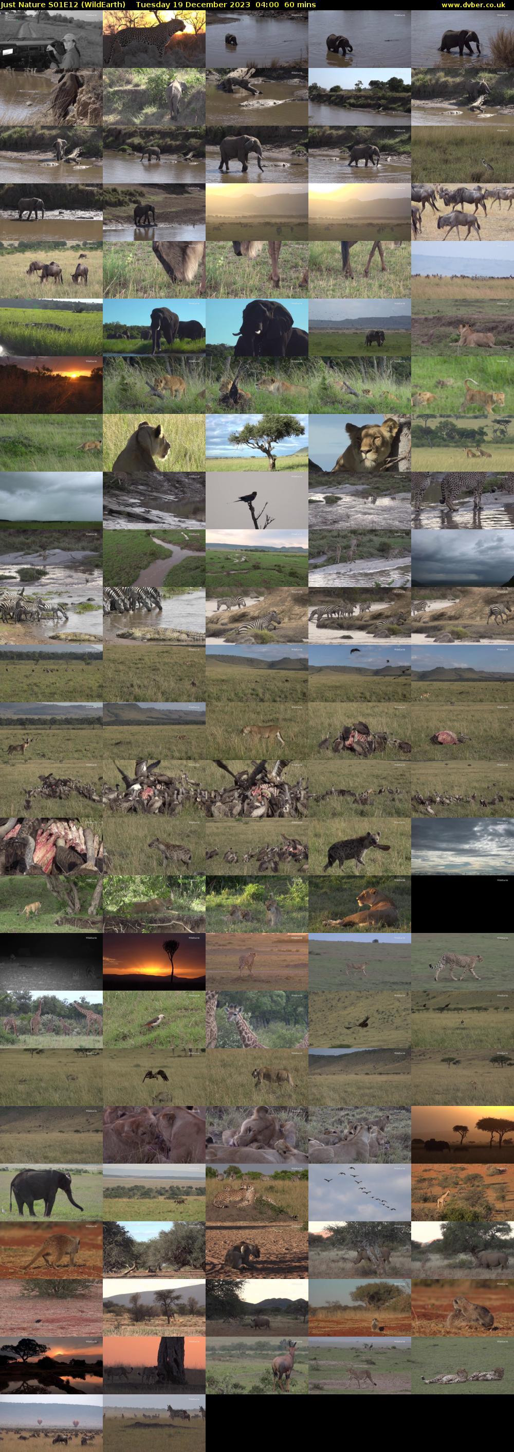 Just Nature S01E12 (WildEarth) Tuesday 19 December 2023 04:00 - 05:00