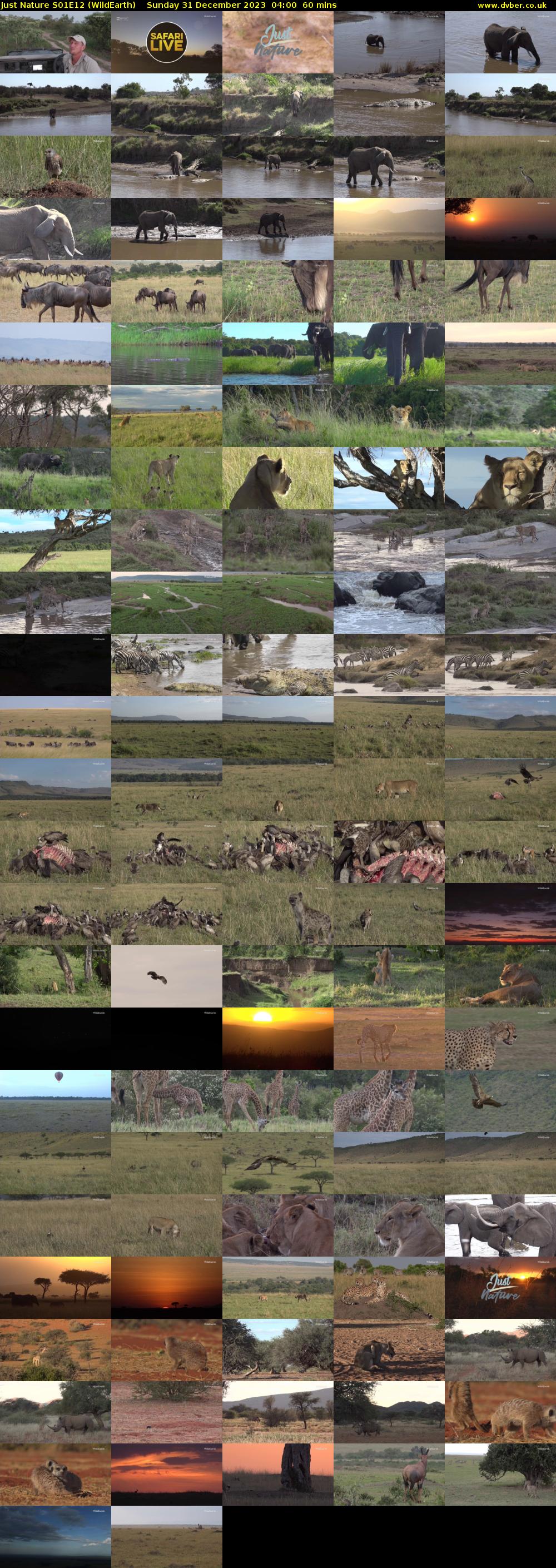 Just Nature S01E12 (WildEarth) Sunday 31 December 2023 04:00 - 05:00