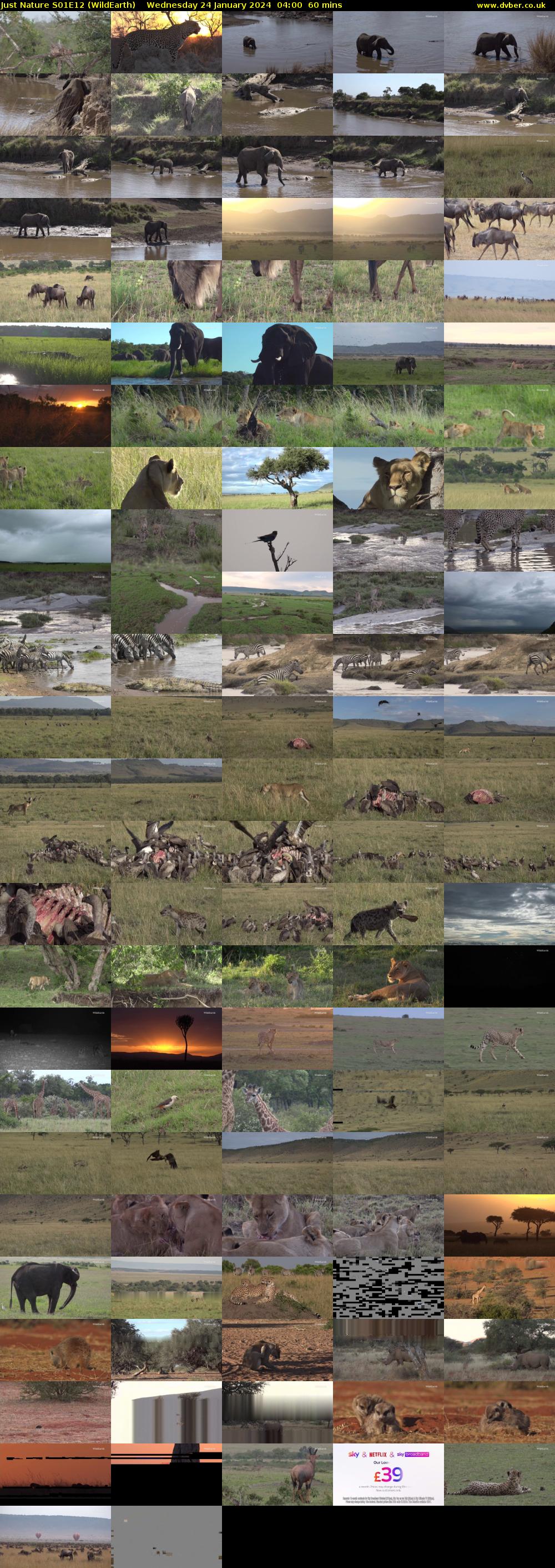 Just Nature S01E12 (WildEarth) Wednesday 24 January 2024 04:00 - 05:00