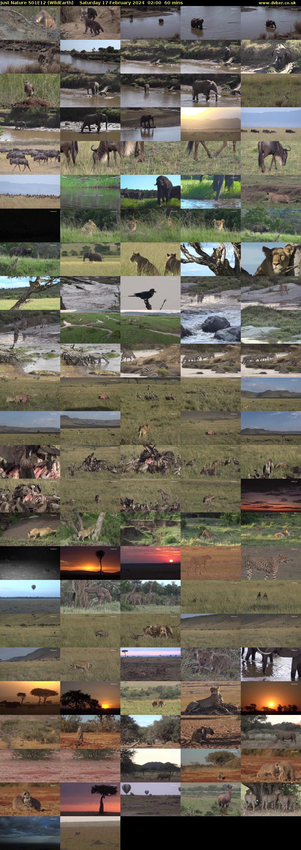 Just Nature S01E12 (WildEarth) Saturday 17 February 2024 02:00 - 03:00