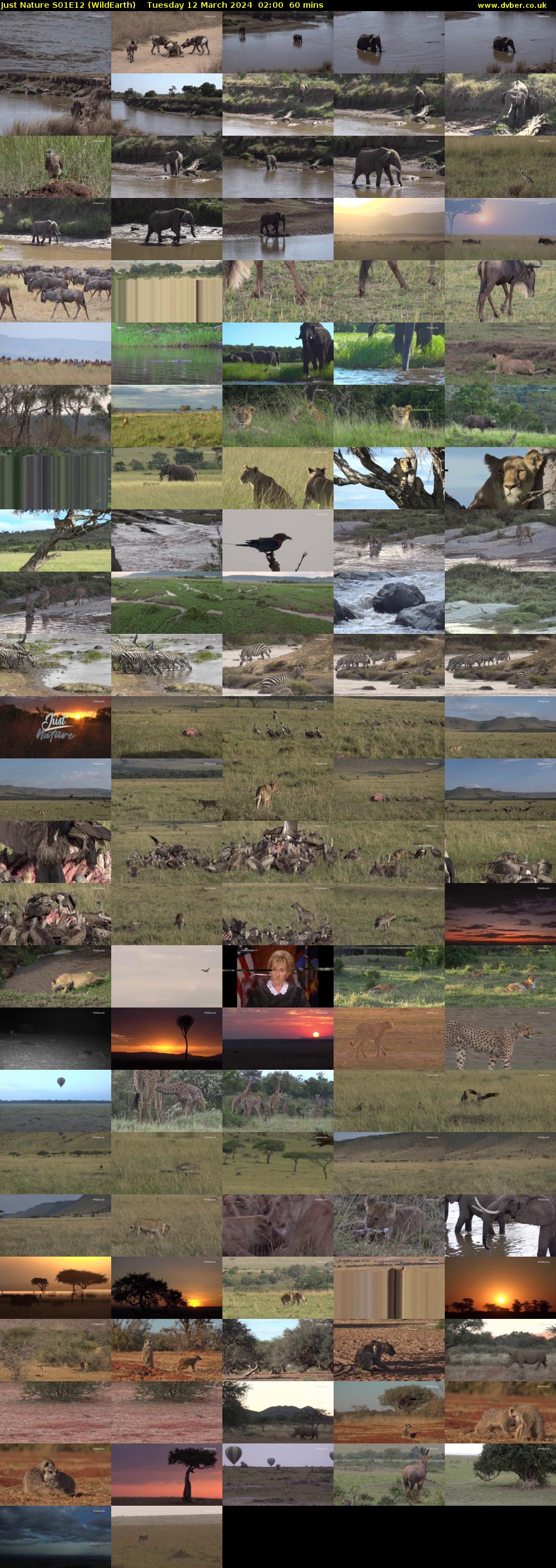 Just Nature S01E12 (WildEarth) Tuesday 12 March 2024 02:00 - 03:00