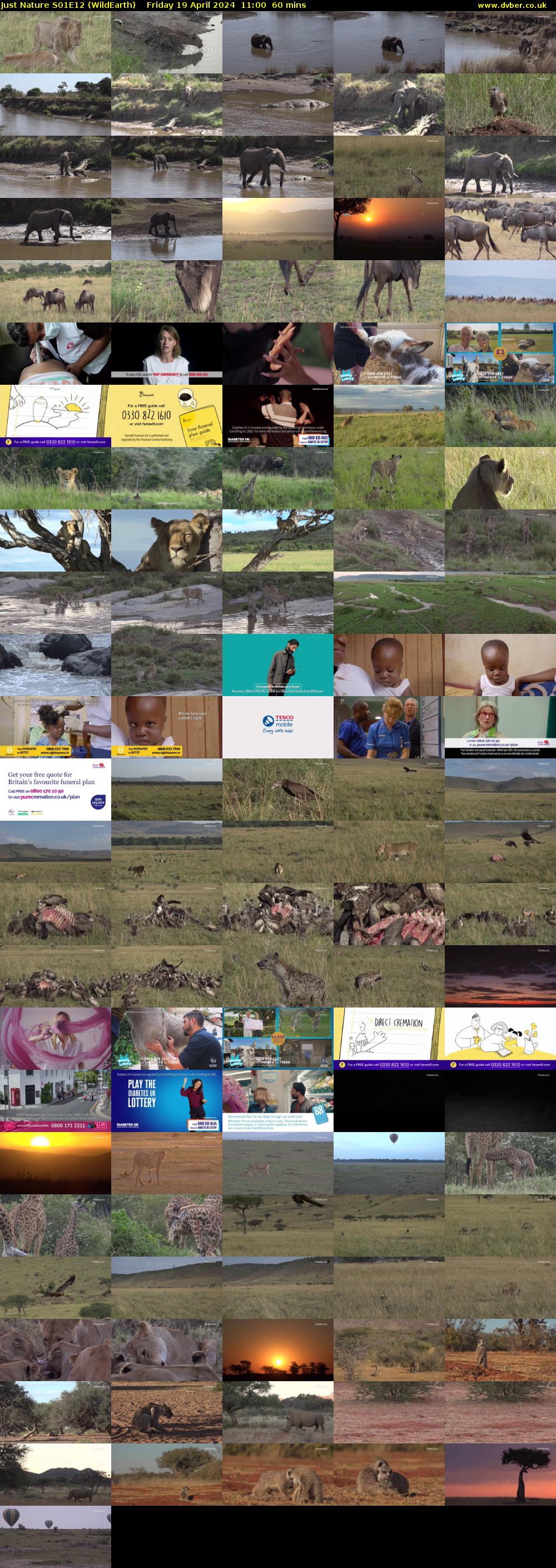 Just Nature S01E12 (WildEarth) Friday 19 April 2024 11:00 - 12:00