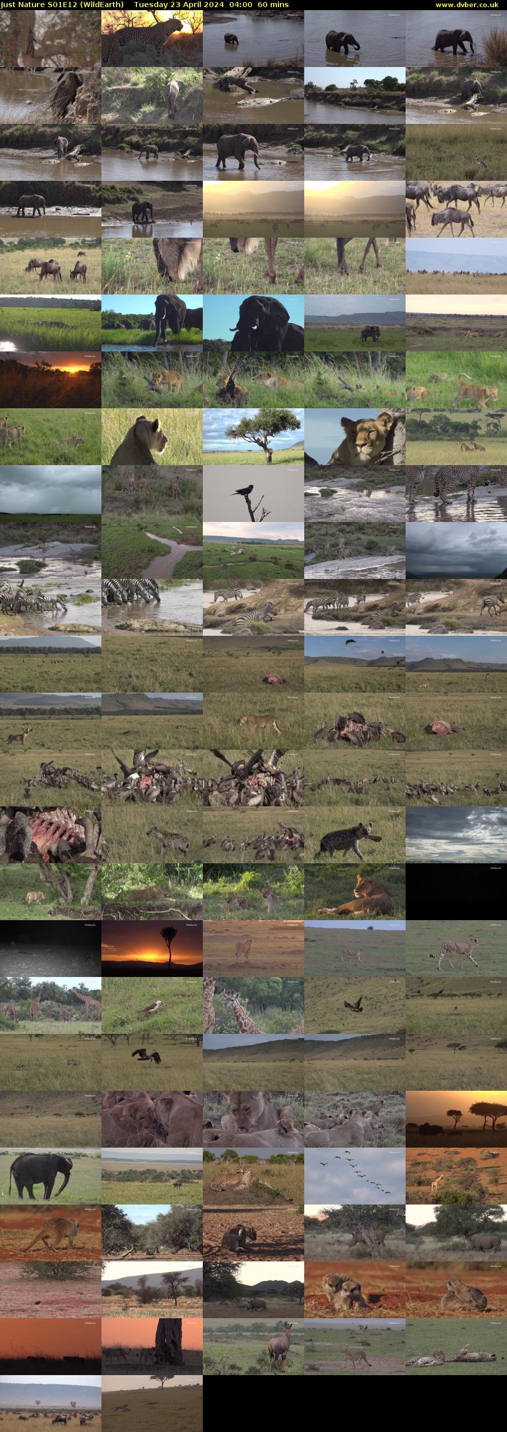 Just Nature S01E12 (WildEarth) Tuesday 23 April 2024 04:00 - 05:00