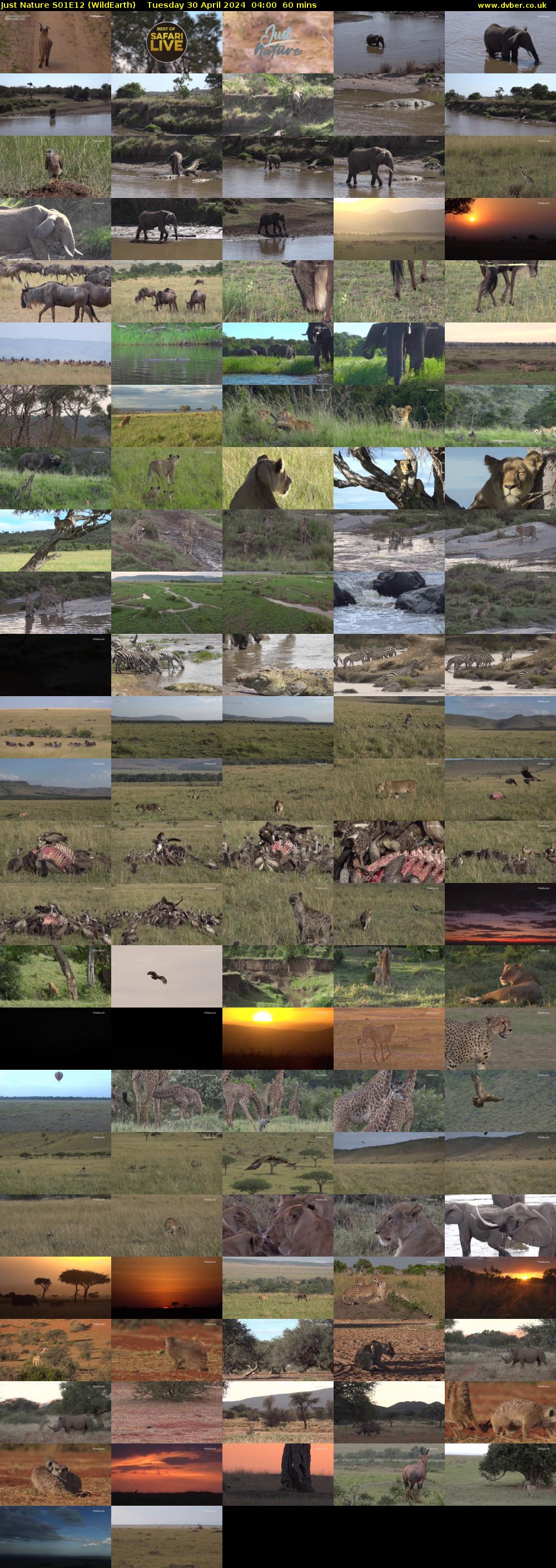 Just Nature S01E12 (WildEarth) Tuesday 30 April 2024 04:00 - 05:00