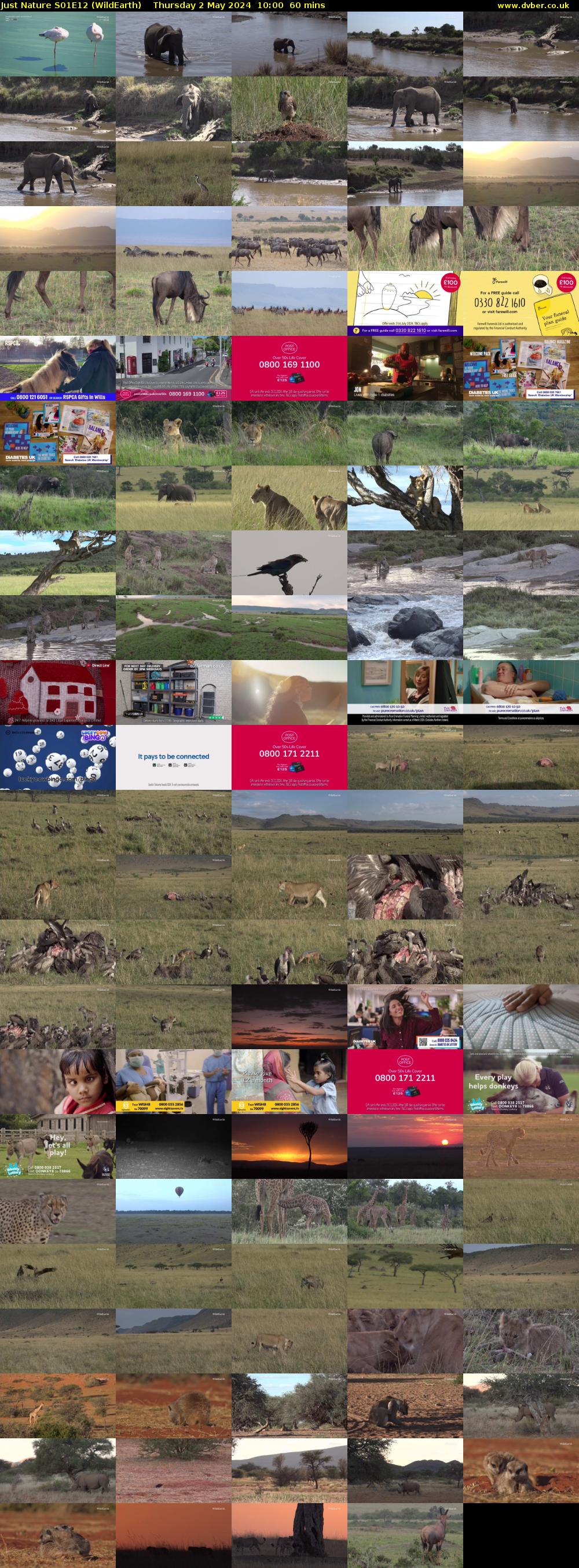 Just Nature S01E12 (WildEarth) Thursday 2 May 2024 10:00 - 11:00