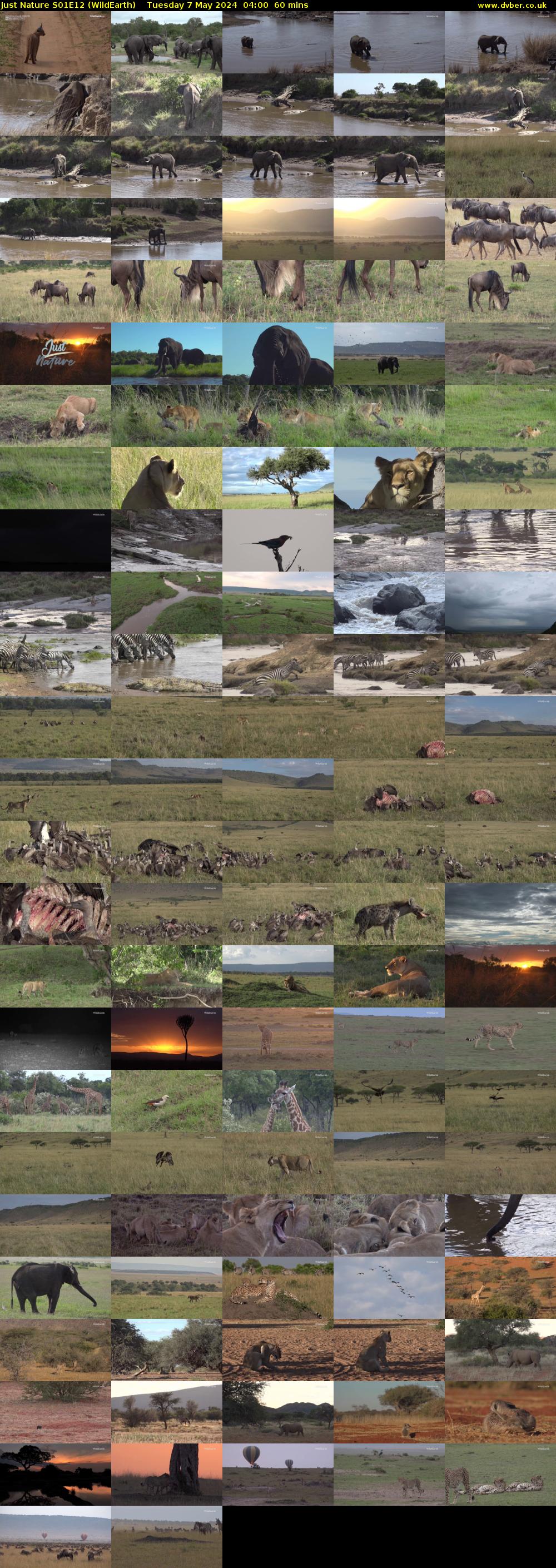 Just Nature S01E12 (WildEarth) Tuesday 7 May 2024 04:00 - 05:00