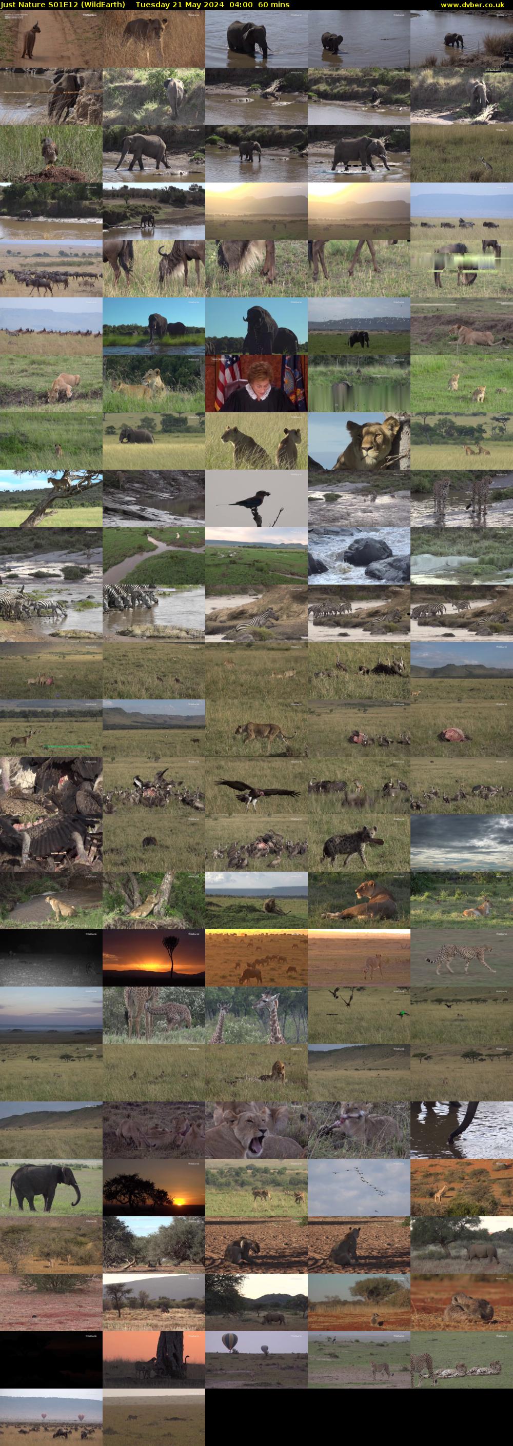 Just Nature S01E12 (WildEarth) Tuesday 21 May 2024 04:00 - 05:00