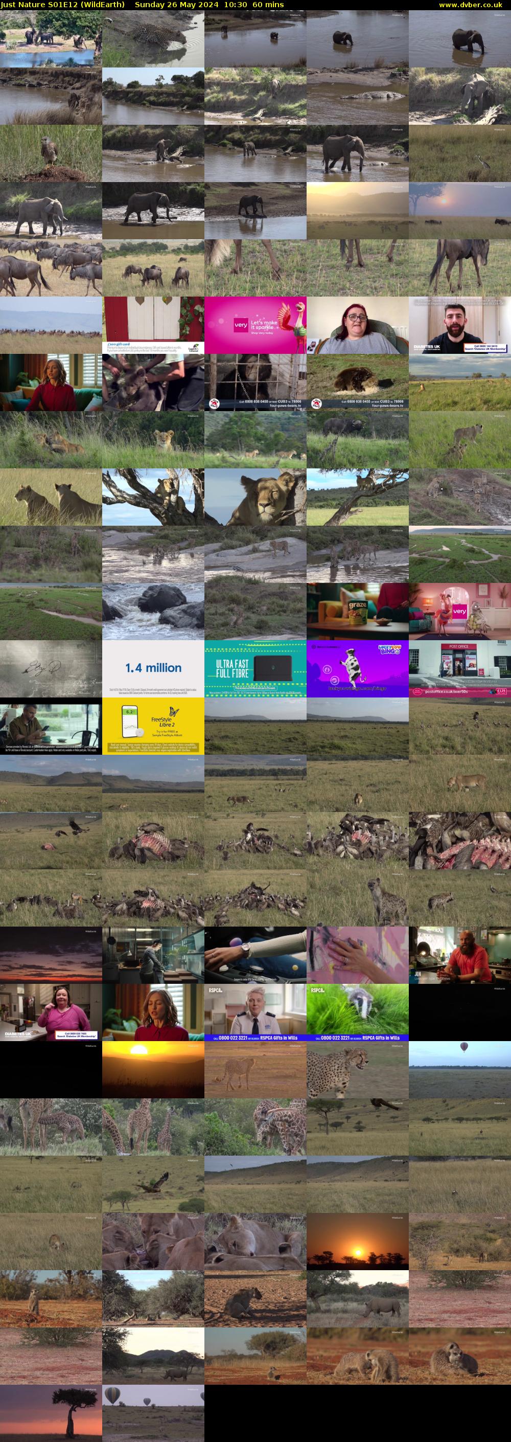 Just Nature S01E12 (WildEarth) Sunday 26 May 2024 10:30 - 11:30
