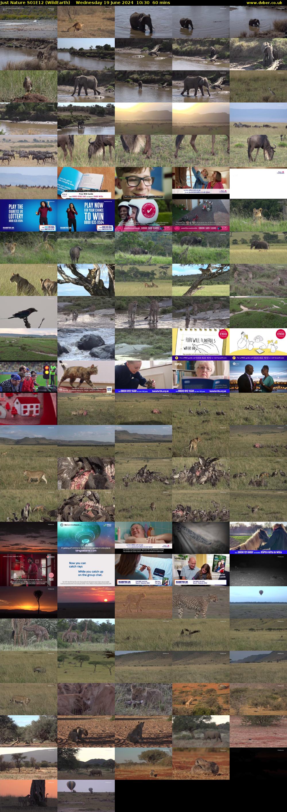 Just Nature S01E12 (WildEarth) Wednesday 19 June 2024 10:30 - 11:30
