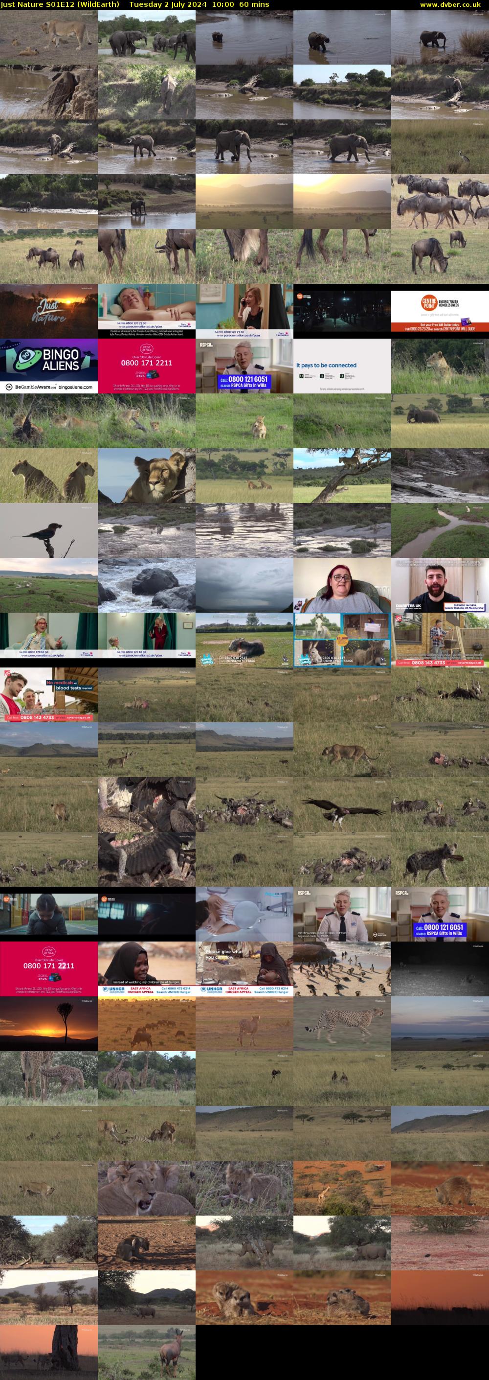 Just Nature S01E12 (WildEarth) Tuesday 2 July 2024 10:00 - 11:00