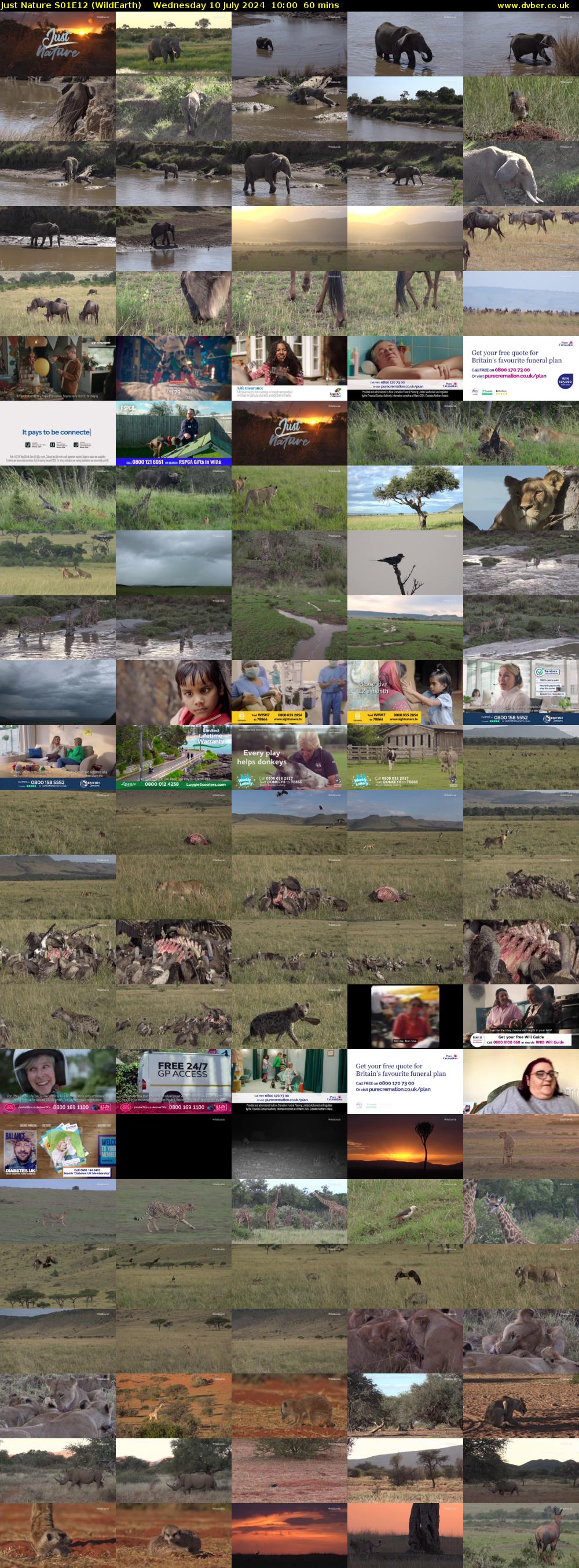 Just Nature S01E12 (WildEarth) Wednesday 10 July 2024 10:00 - 11:00