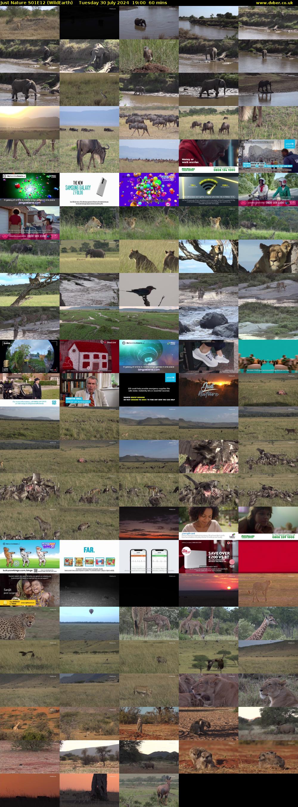 Just Nature S01E12 (WildEarth) Tuesday 30 July 2024 19:00 - 20:00