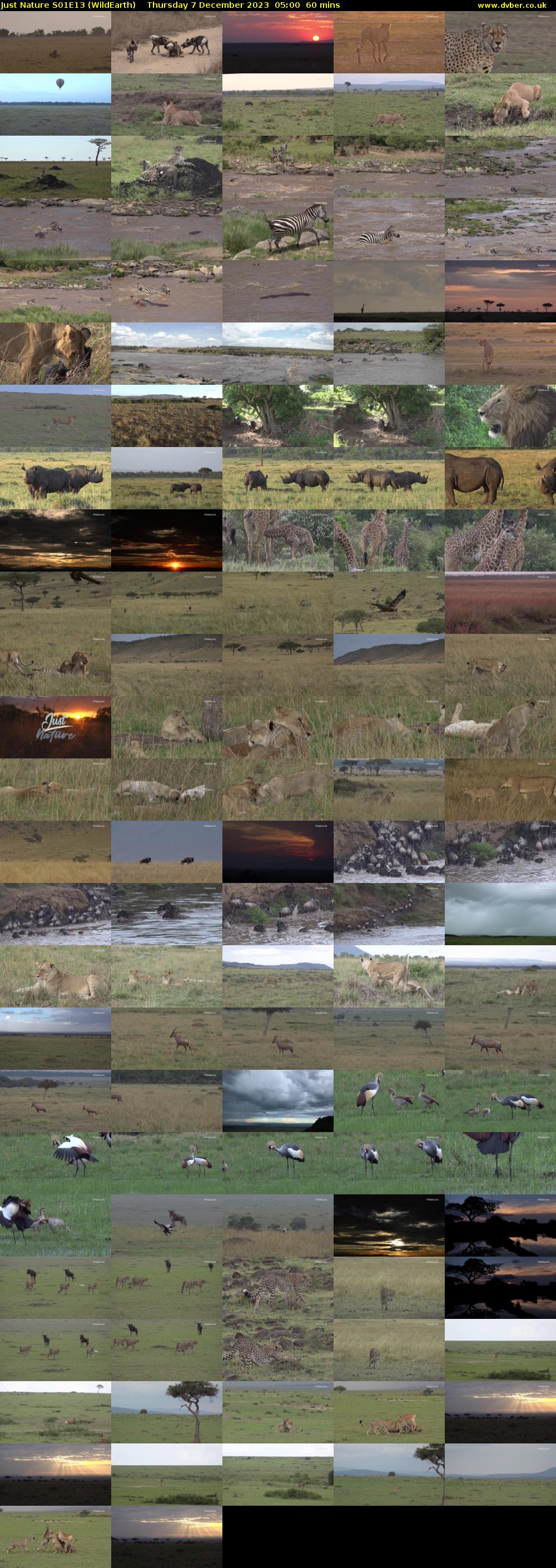 Just Nature S01E13 (WildEarth) Thursday 7 December 2023 05:00 - 06:00