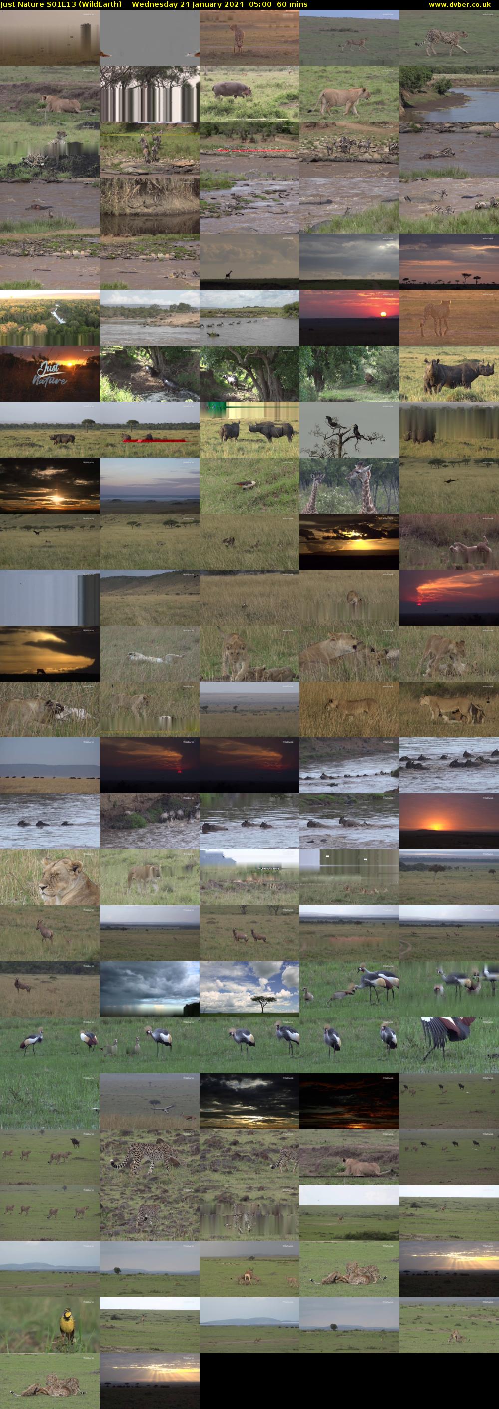 Just Nature S01E13 (WildEarth) Wednesday 24 January 2024 05:00 - 06:00