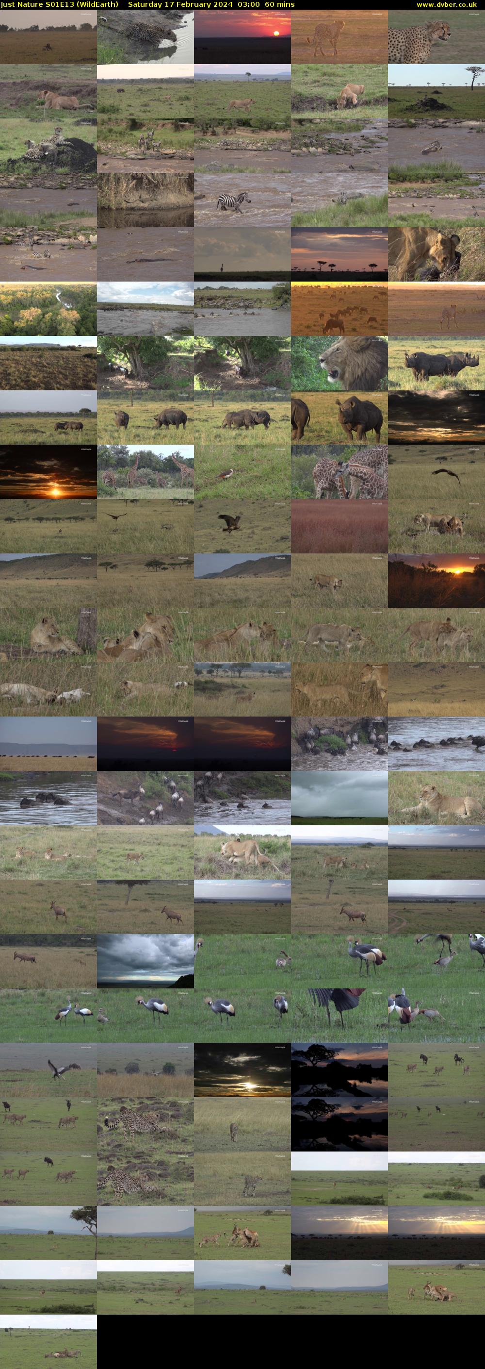 Just Nature S01E13 (WildEarth) Saturday 17 February 2024 03:00 - 04:00