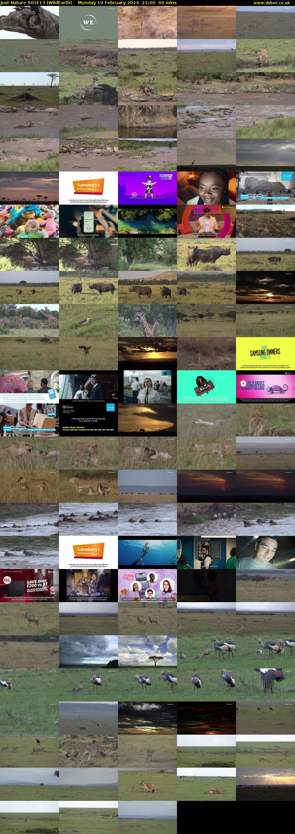Just Nature S01E13 (WildEarth) Monday 19 February 2024 21:00 - 22:00