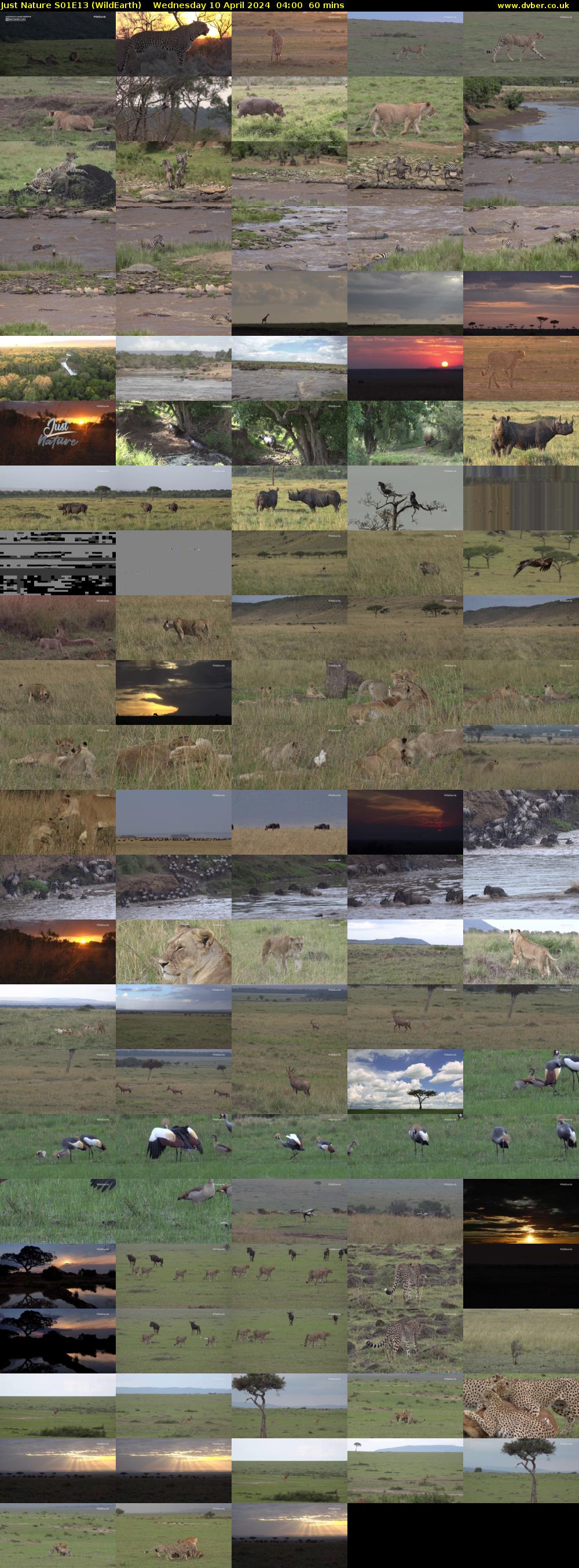 Just Nature S01E13 (WildEarth) Wednesday 10 April 2024 04:00 - 05:00