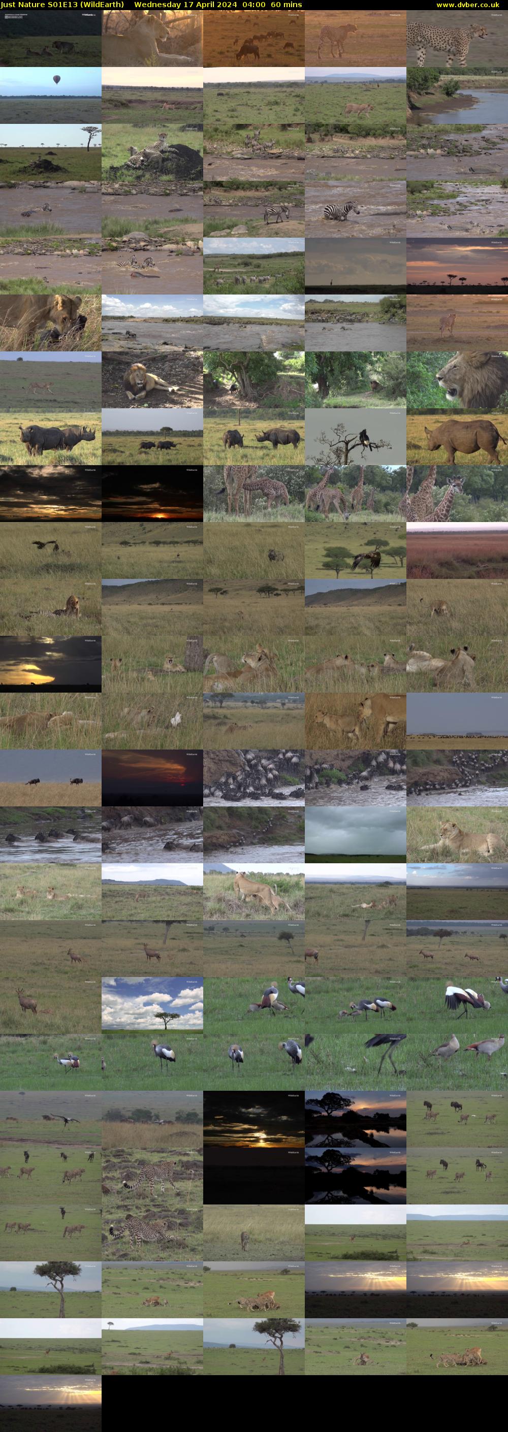 Just Nature S01E13 (WildEarth) Wednesday 17 April 2024 04:00 - 05:00