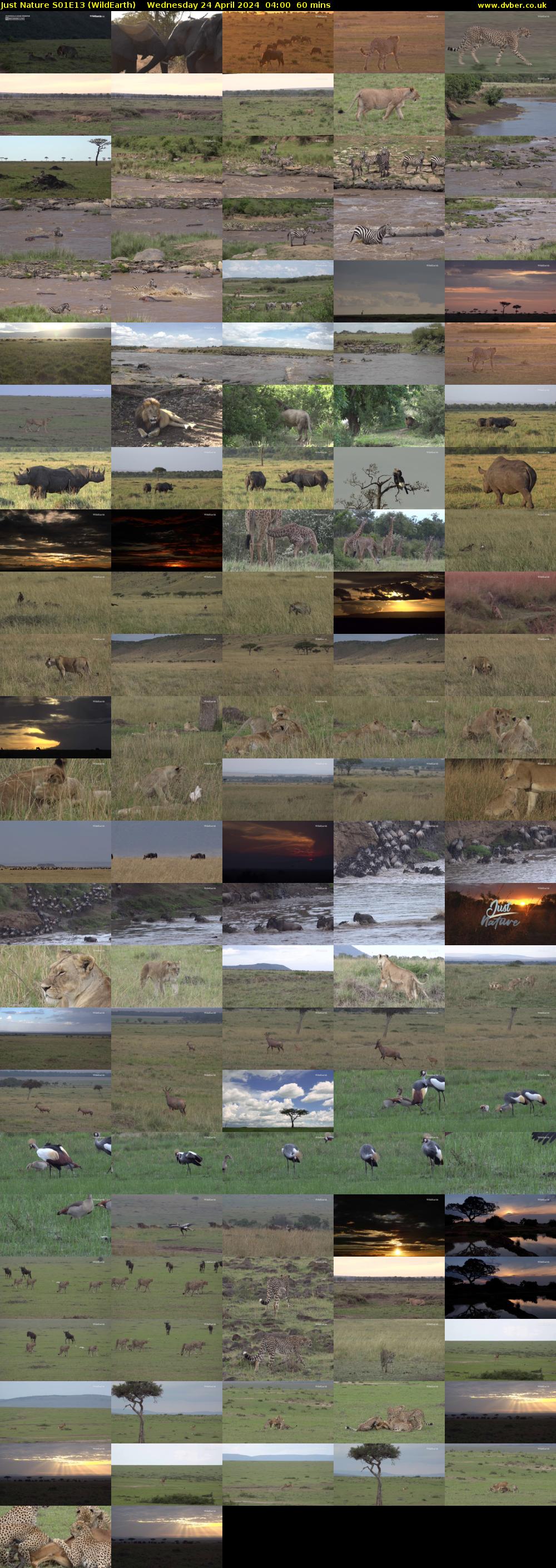 Just Nature S01E13 (WildEarth) Wednesday 24 April 2024 04:00 - 05:00