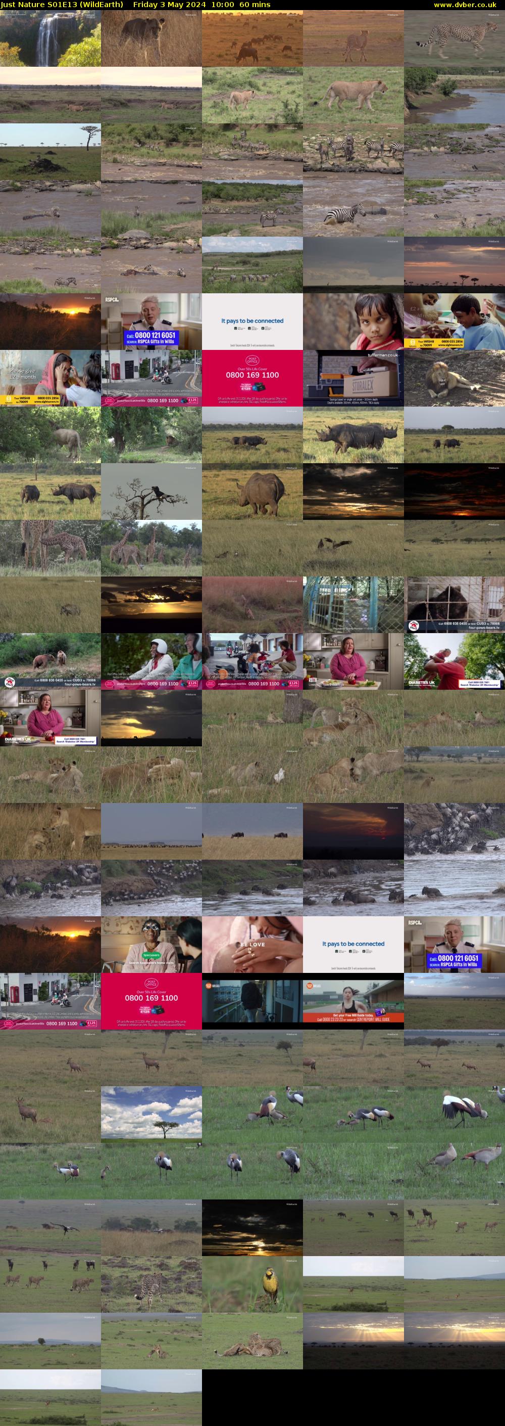 Just Nature S01E13 (WildEarth) Friday 3 May 2024 10:00 - 11:00