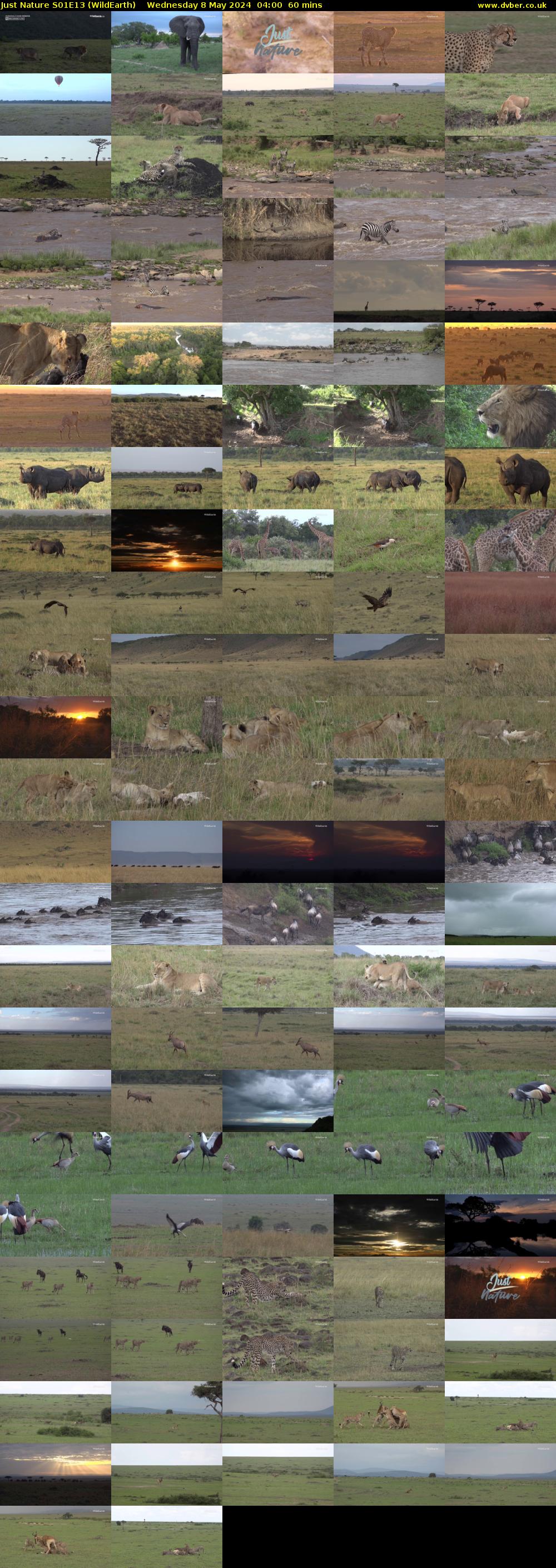 Just Nature S01E13 (WildEarth) Wednesday 8 May 2024 04:00 - 05:00