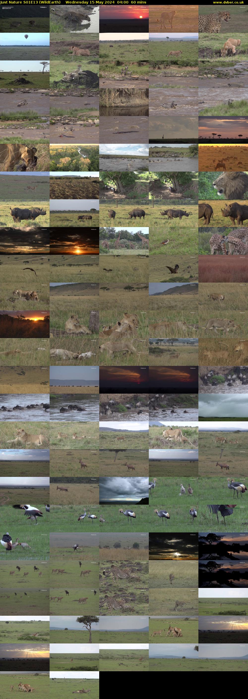 Just Nature S01E13 (WildEarth) Wednesday 15 May 2024 04:00 - 05:00